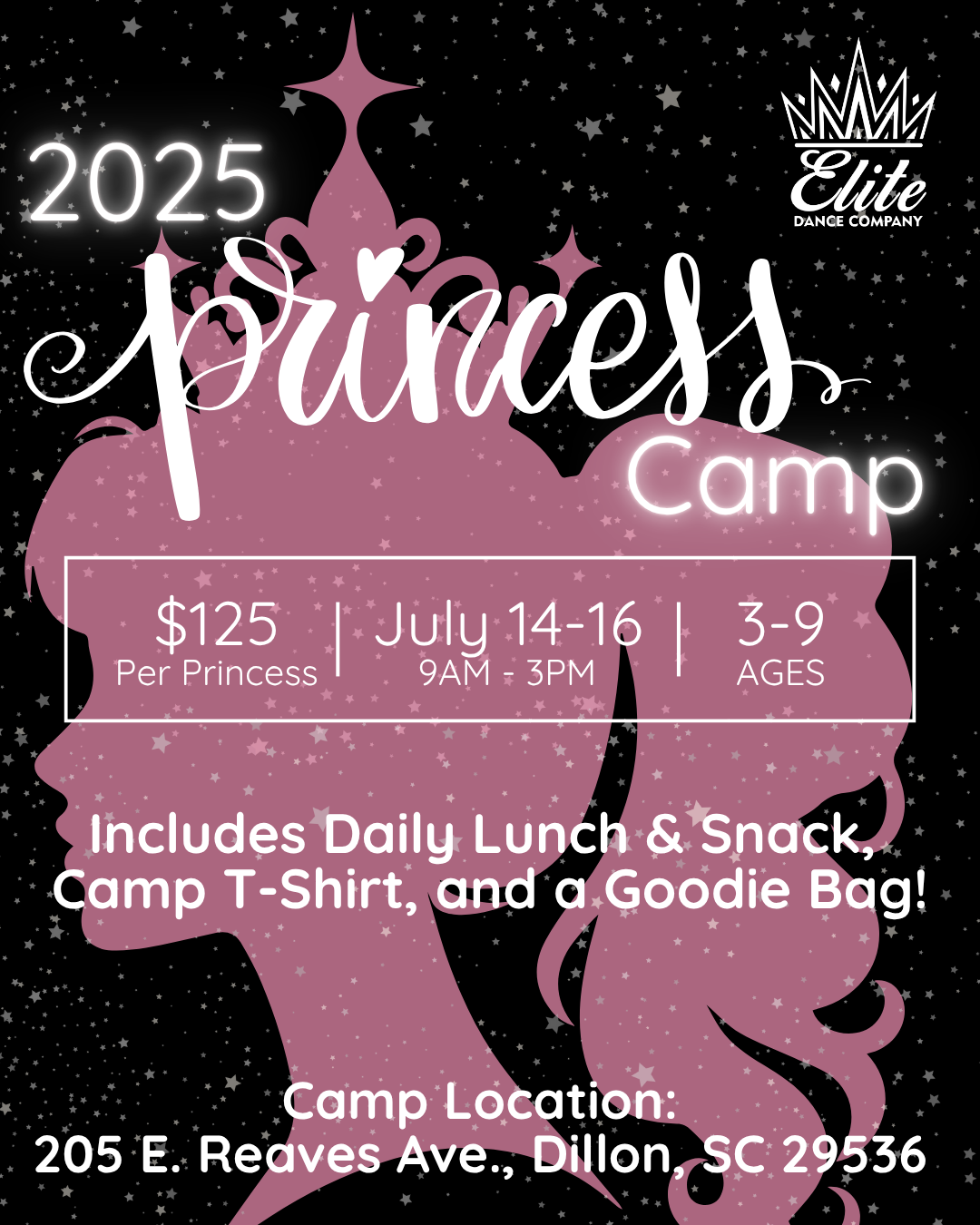 Princess Dance Camp