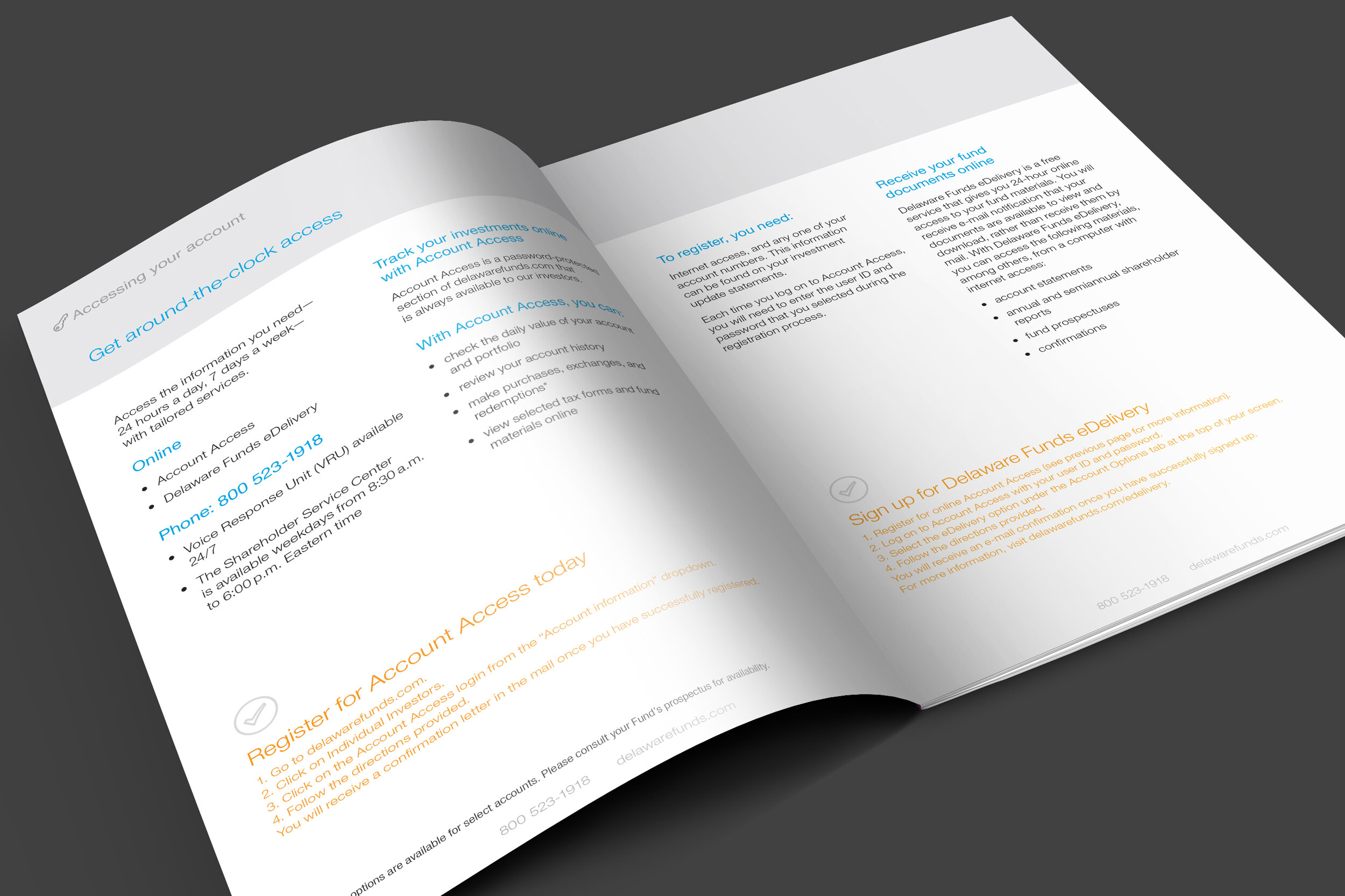 gshs-brch-pgs45.jpg