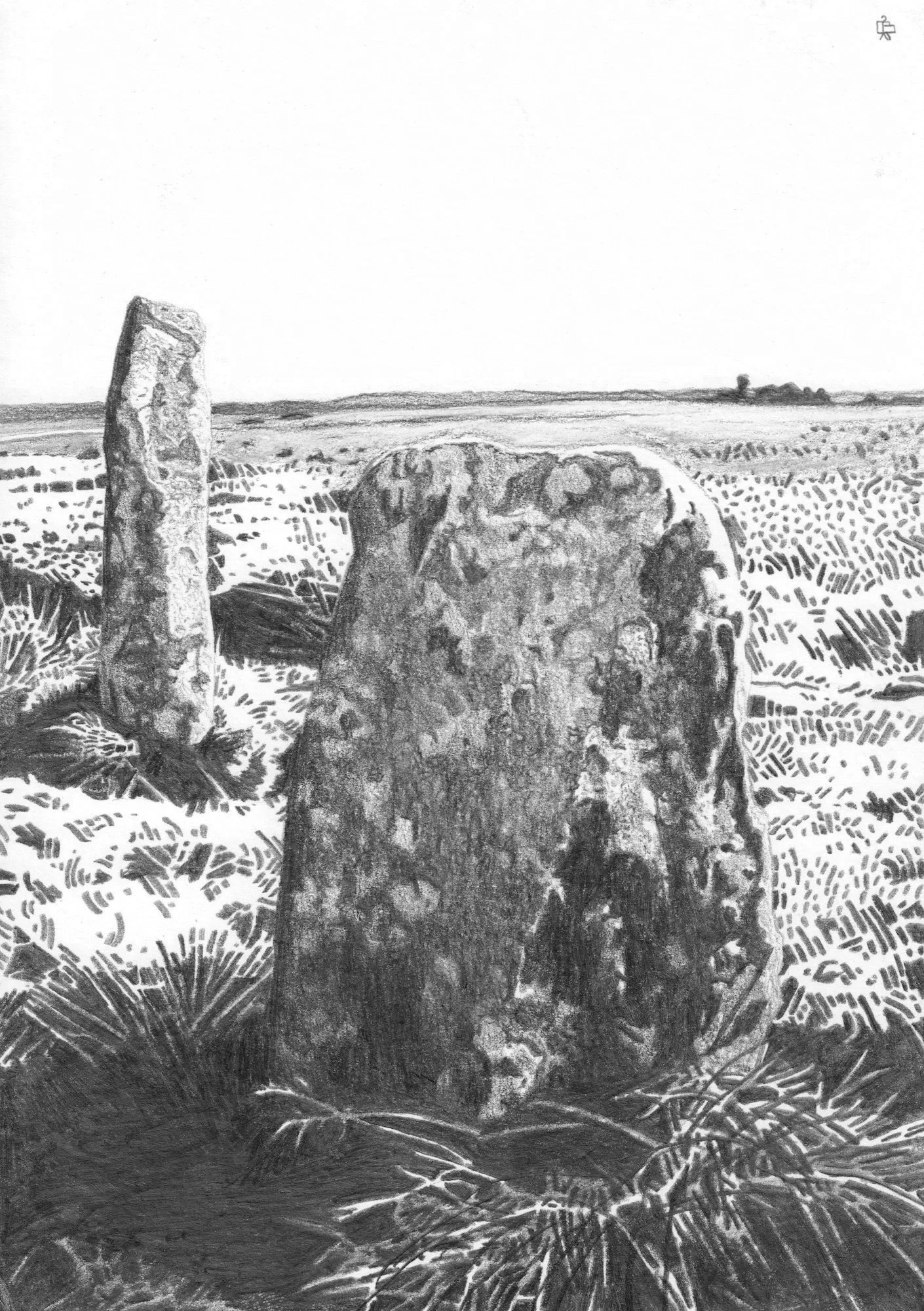 Megaliths+5+%28Nine+Maidens%29+copy.jpg
