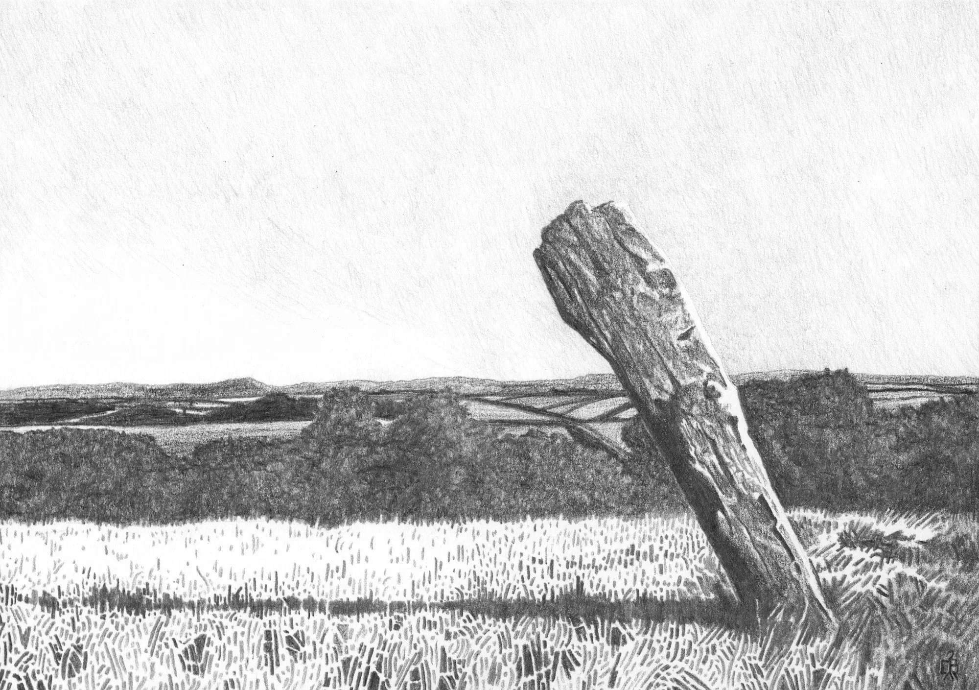 ‘Piper East’, 2026, graphite on Hahnemulhe paper, 210x148mm
