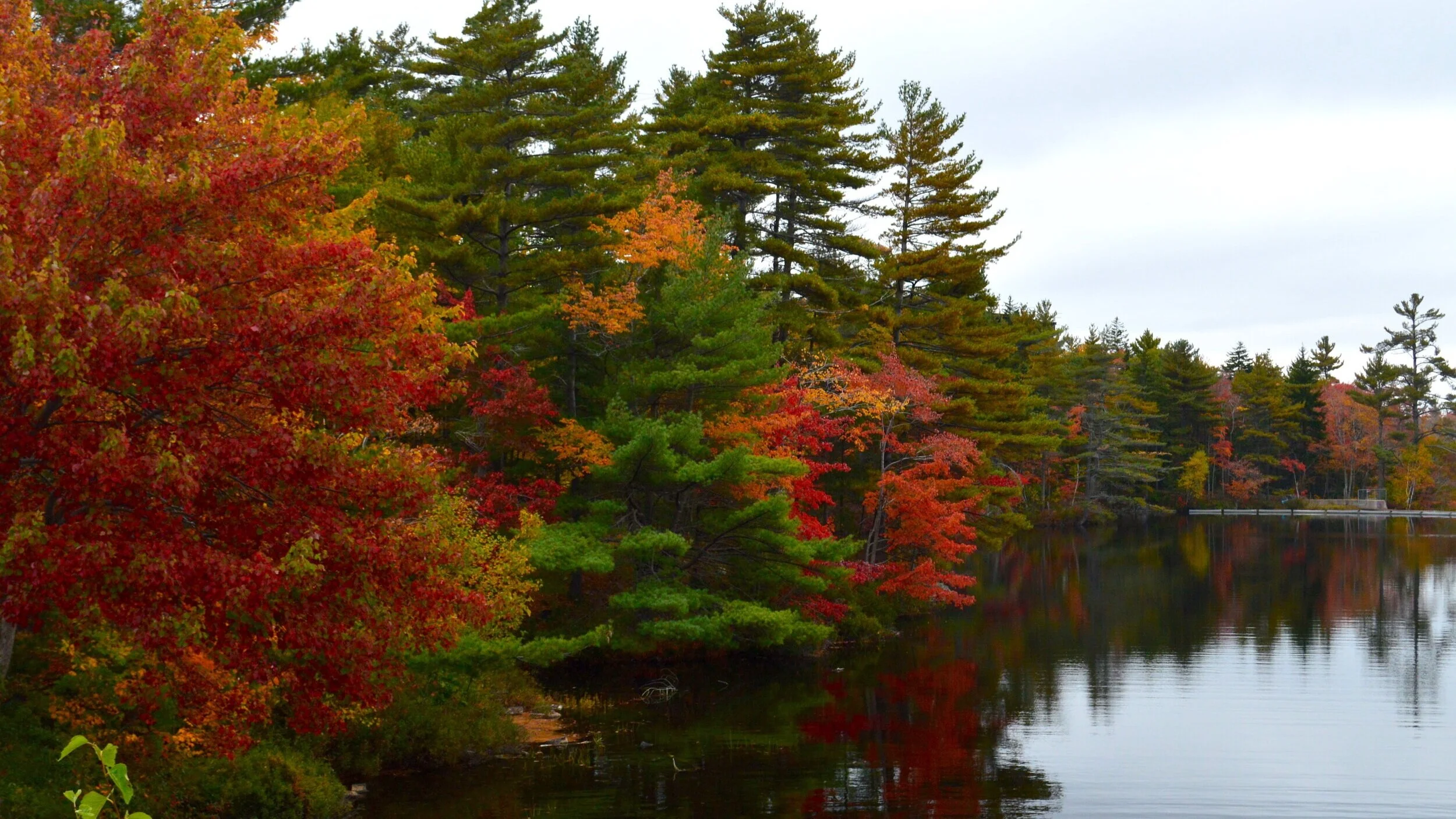 Remote Memories: Joys, Gratitude, Optimism, Sadness… We Miss You, Our Students!   Stories from the Trenches 