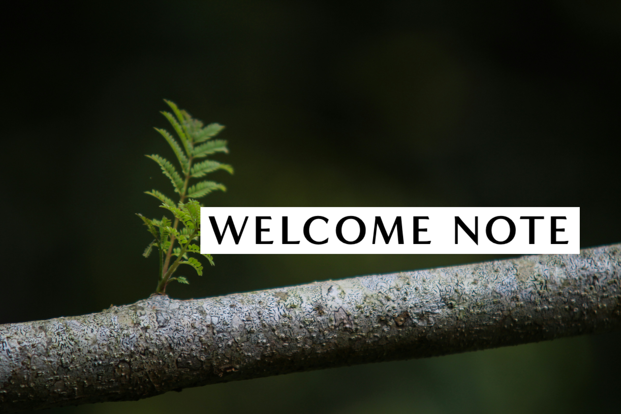 Expanding What Feels Possible