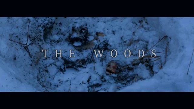 The Woods