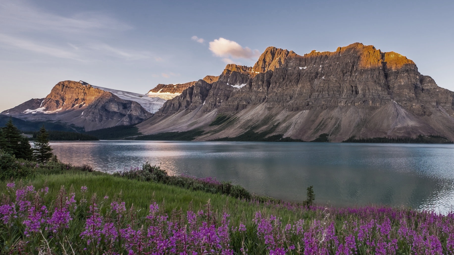 AdobeStock_90397237.jpg