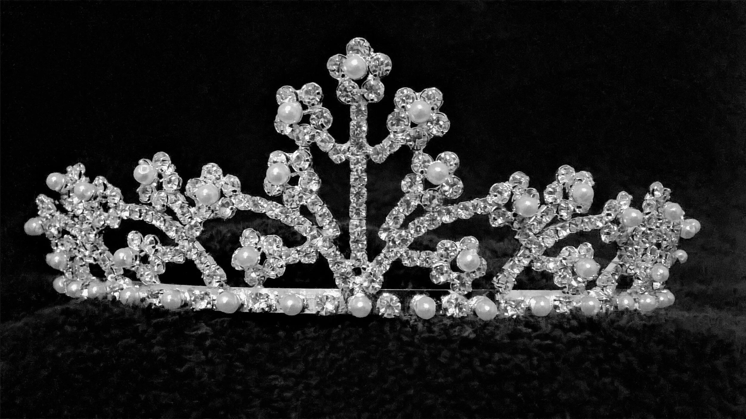 Exaltado en el Exilio