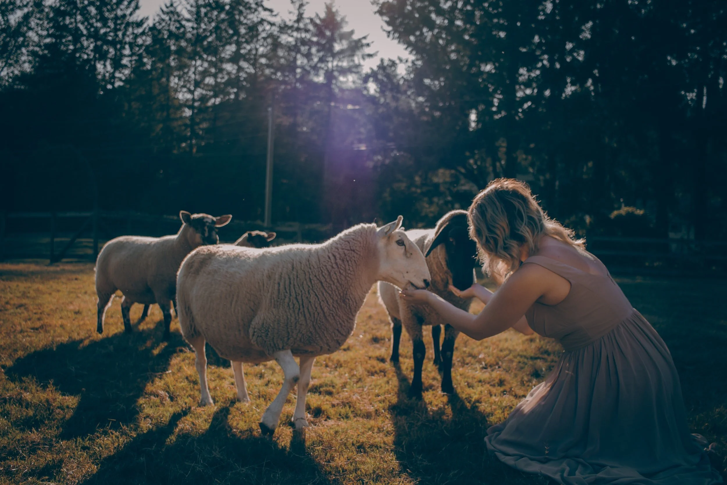 Amor a Través del Servicio