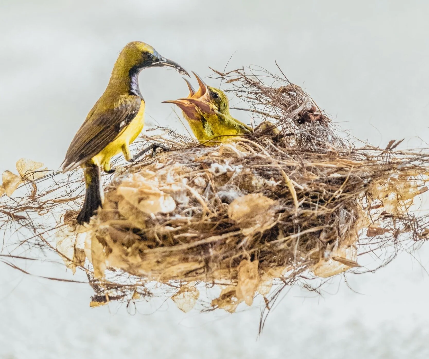 The Sacrifice of a Mother