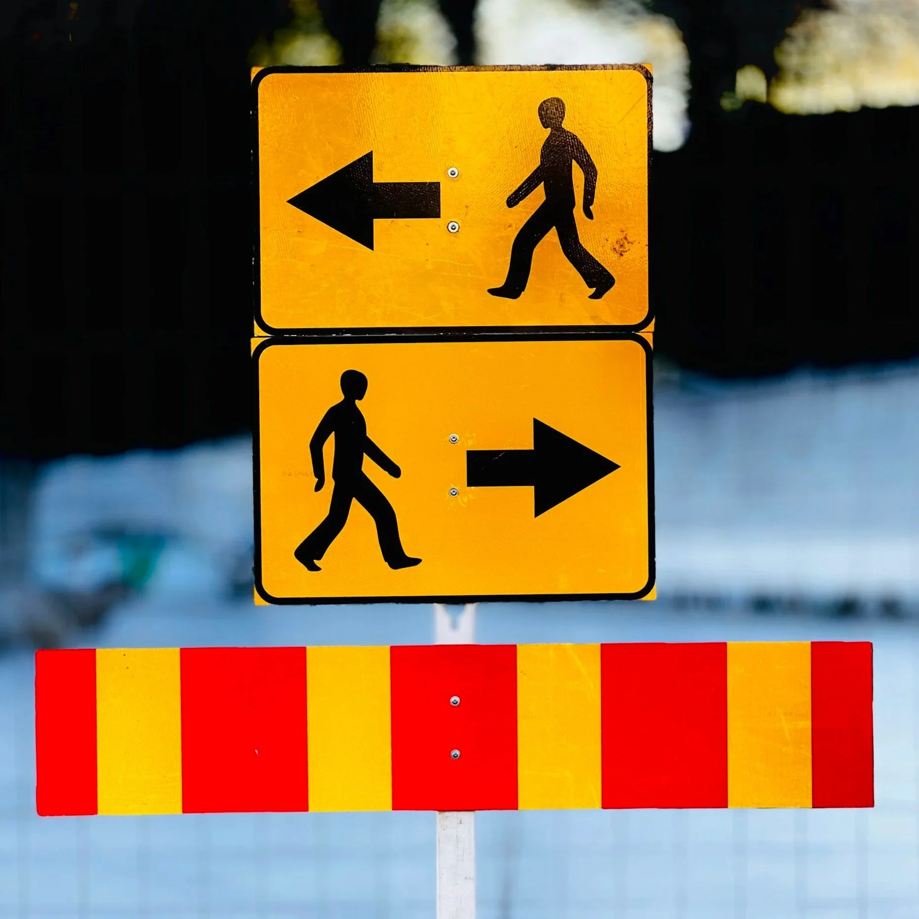 Paid Search vs. Paid Social: Where Should Your Nonprofit Invest?