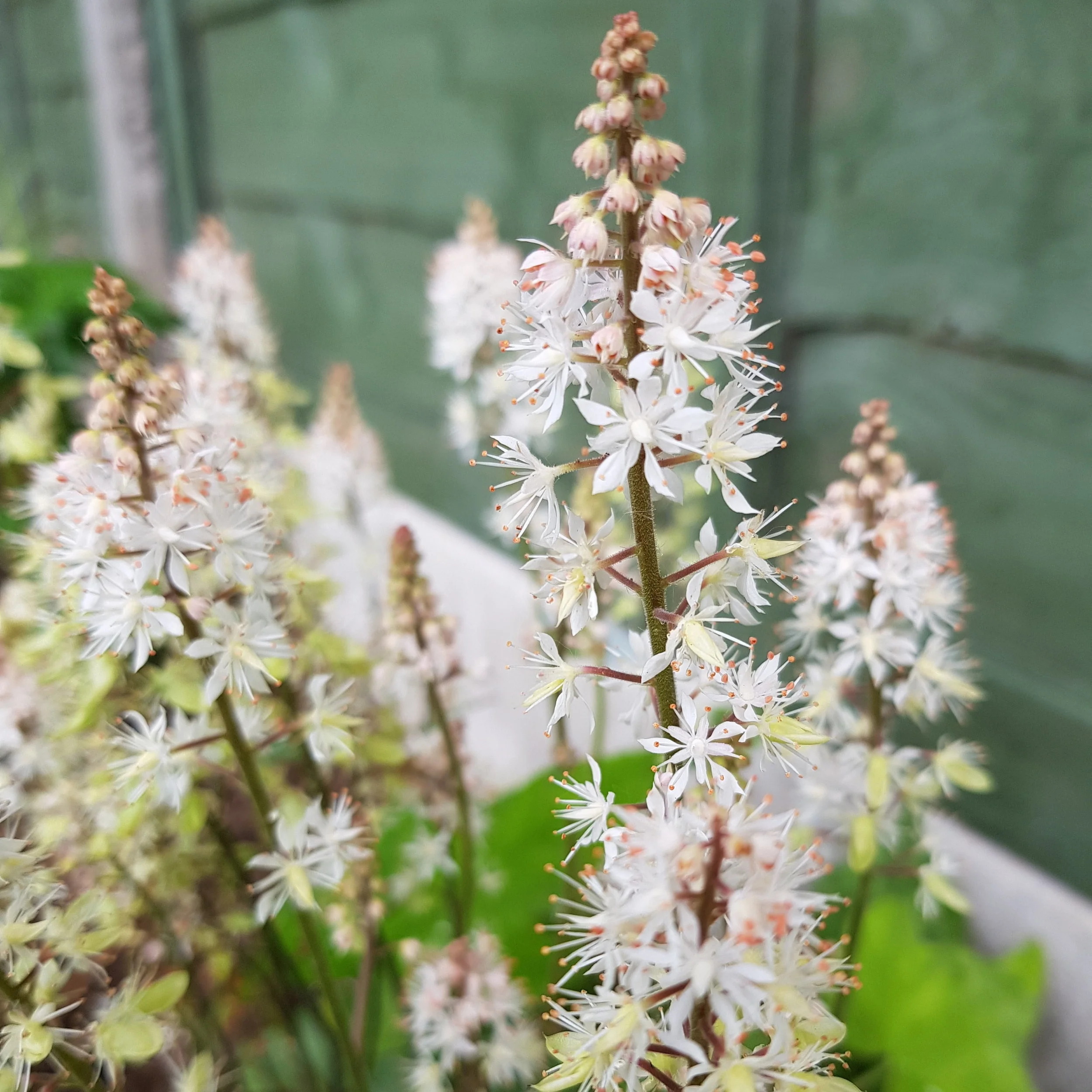 20190605_172556.jpg