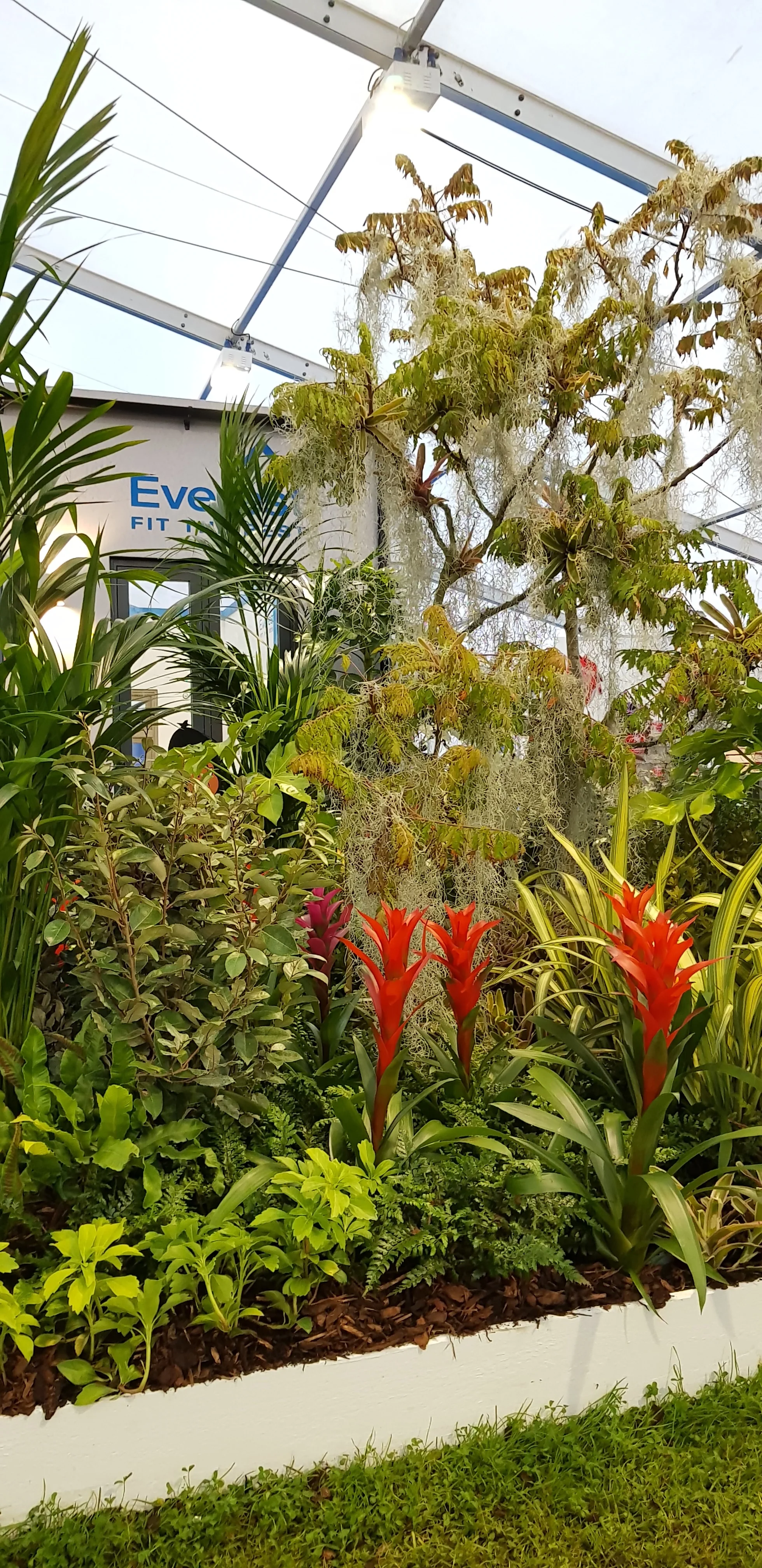The Jungle Book Garden