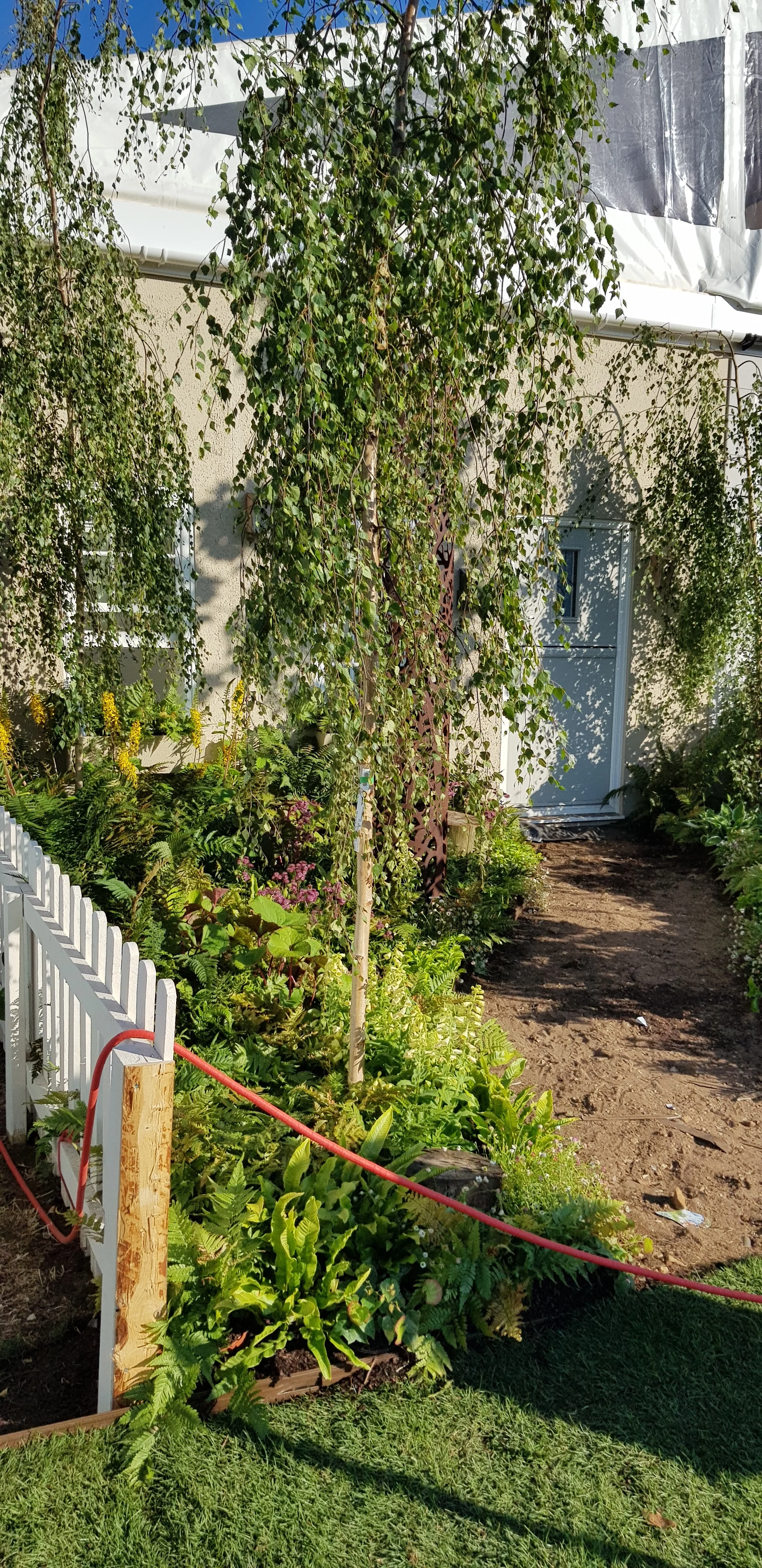 20180629_183527.jpg