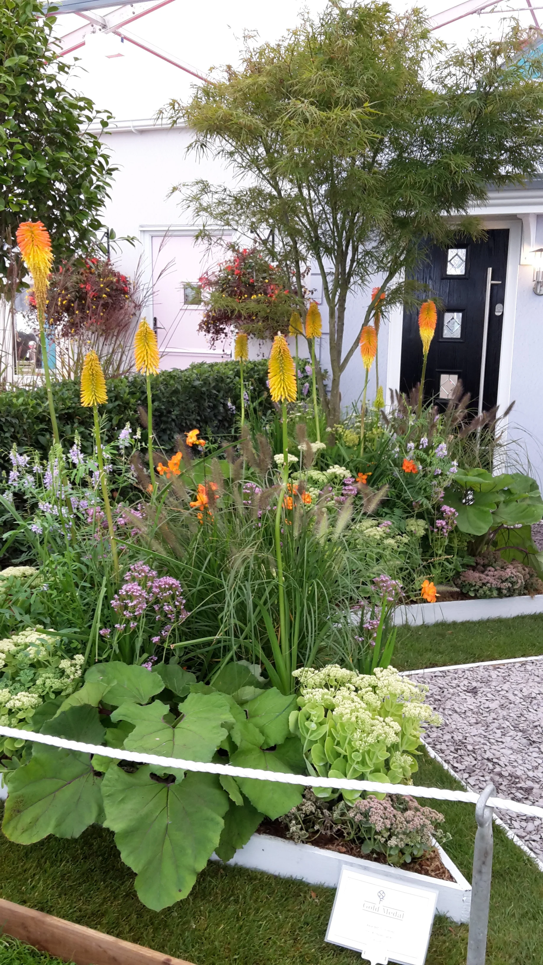 Macmillan Garden