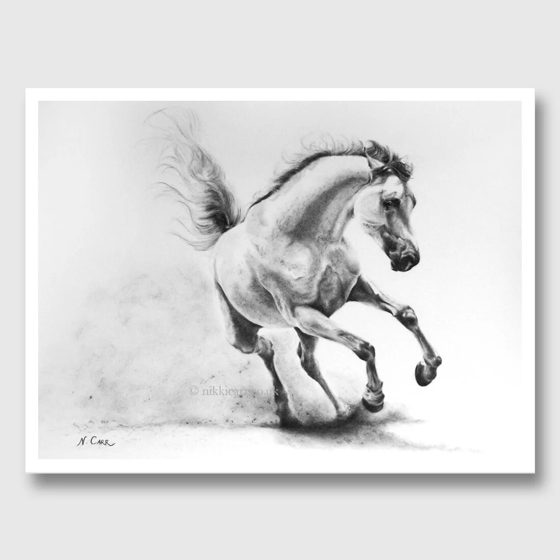 Kicking Up A Storm - print from original charcoal drawing by artist Nikki Carr.jpg