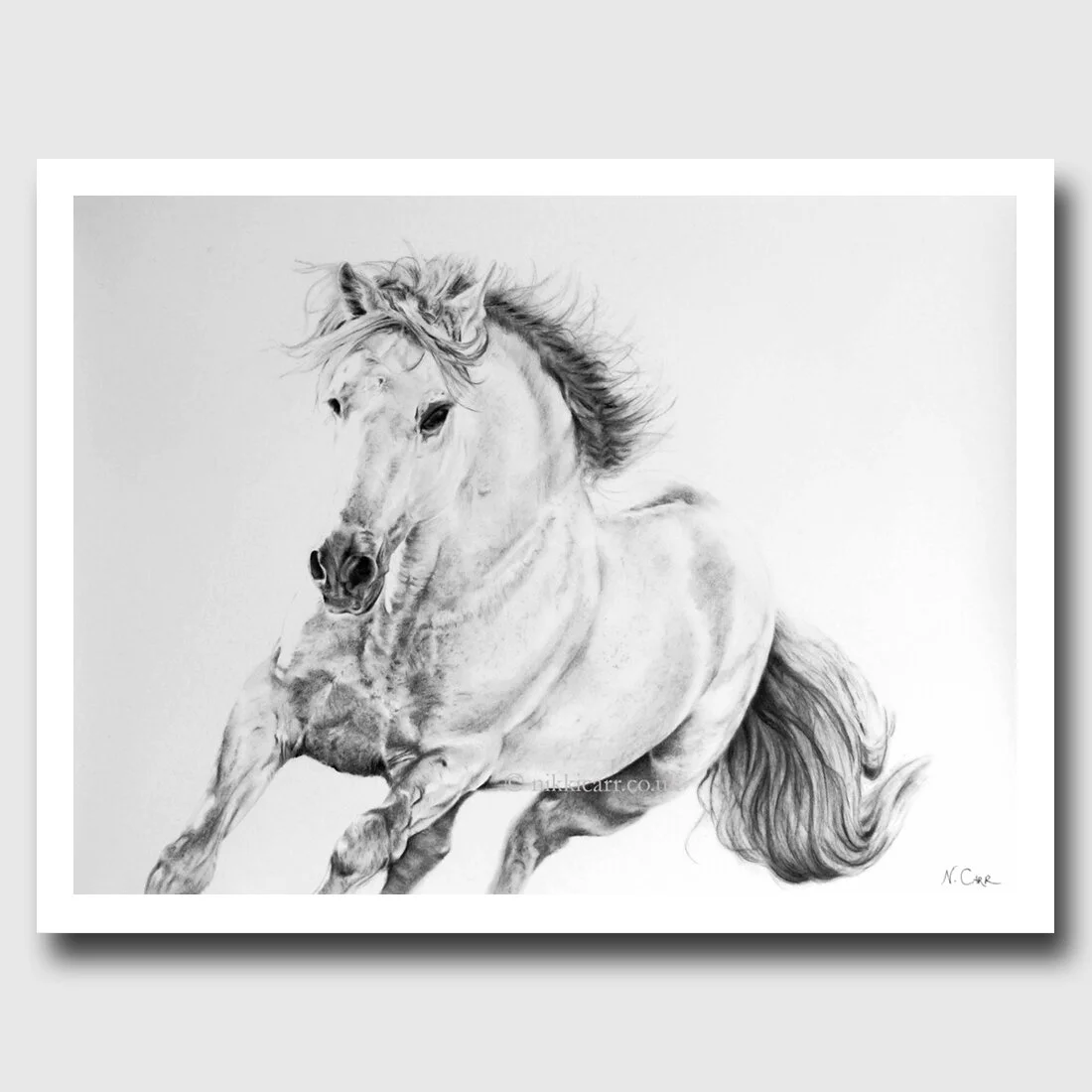Joy - print from original charcoal drawing by artist Nikki Carr.jpg