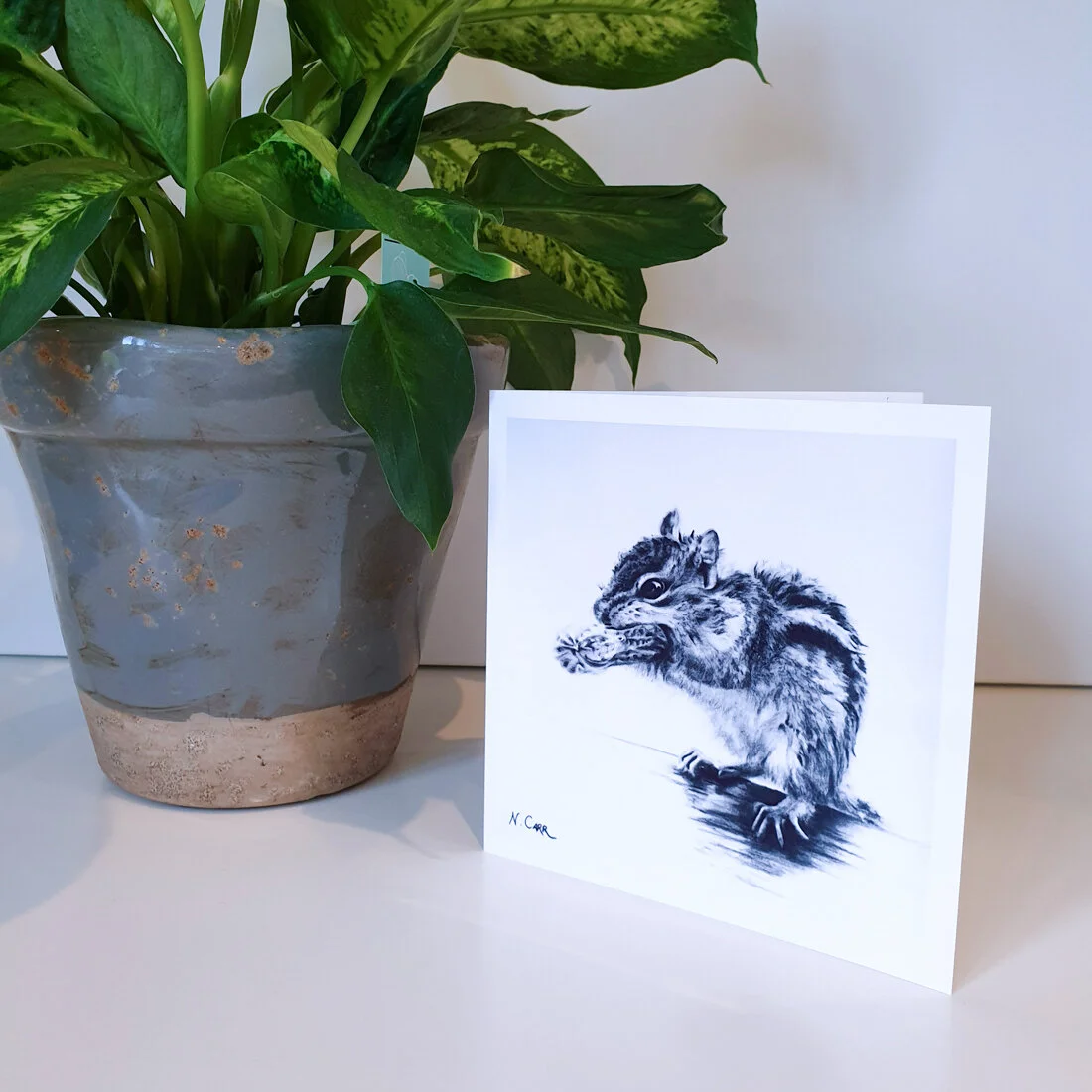 Peanut - art card from original charcoal drawing by artist Nikki Carr .jpg