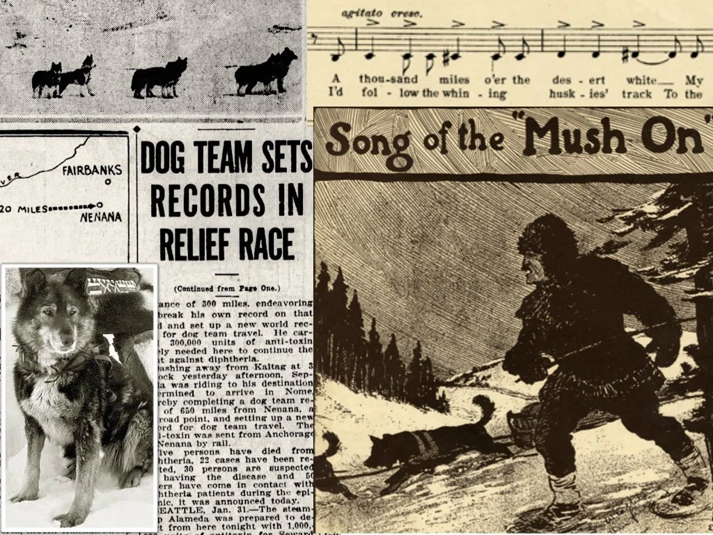 The Nome Serum Run Centennial
