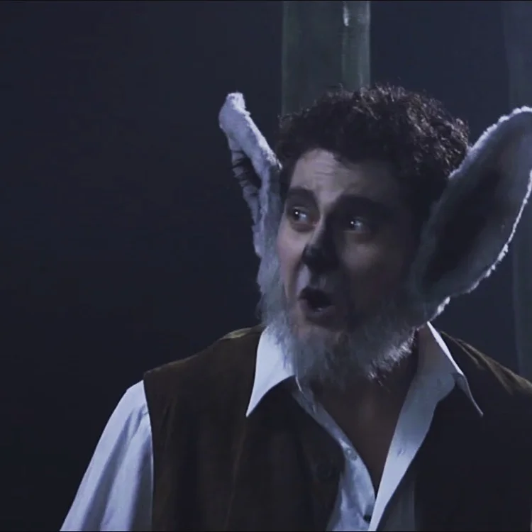 A Midsummer Night's Dream 2.JPG