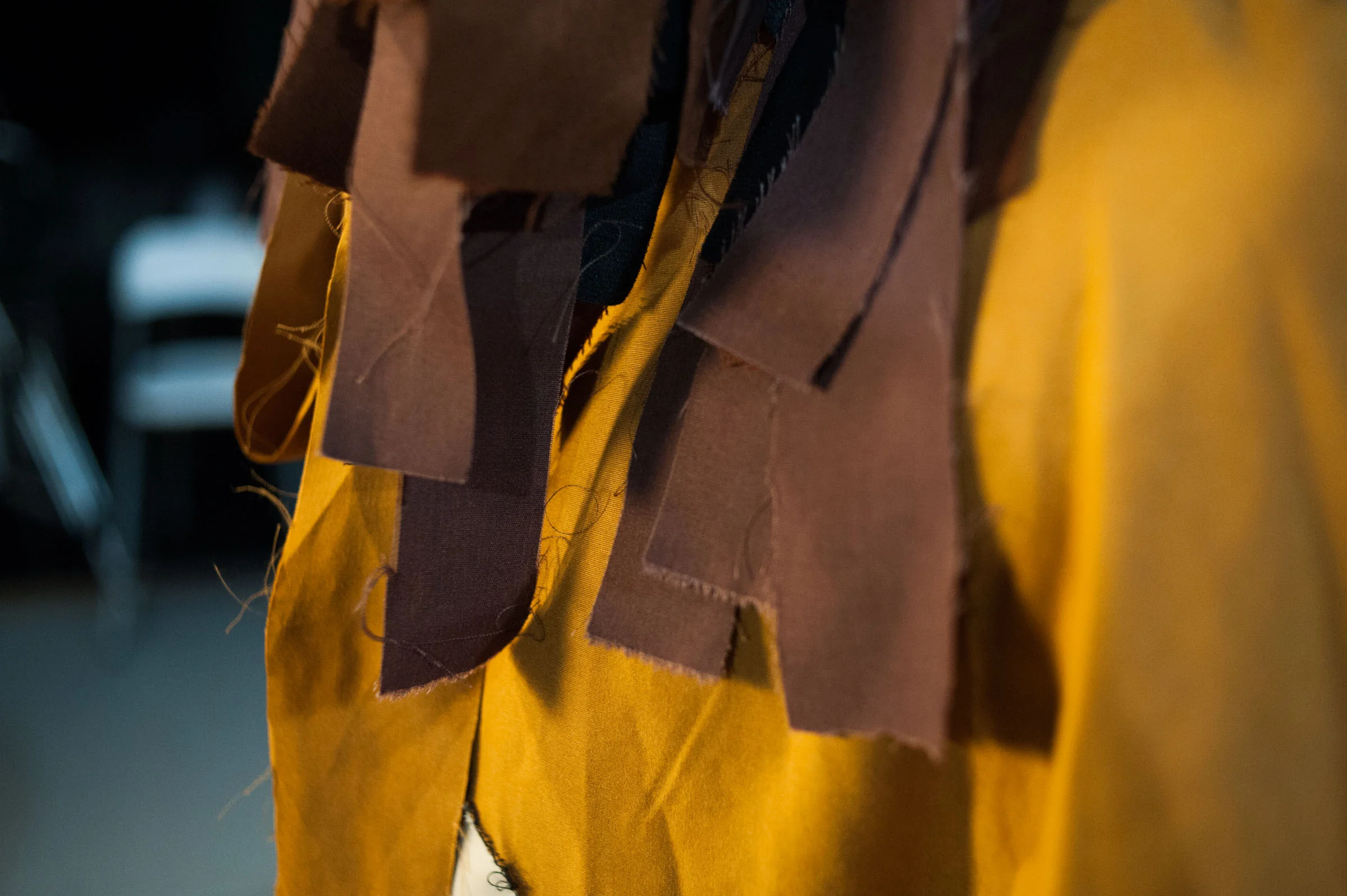 A Midsummer Night's Dream 5.JPG