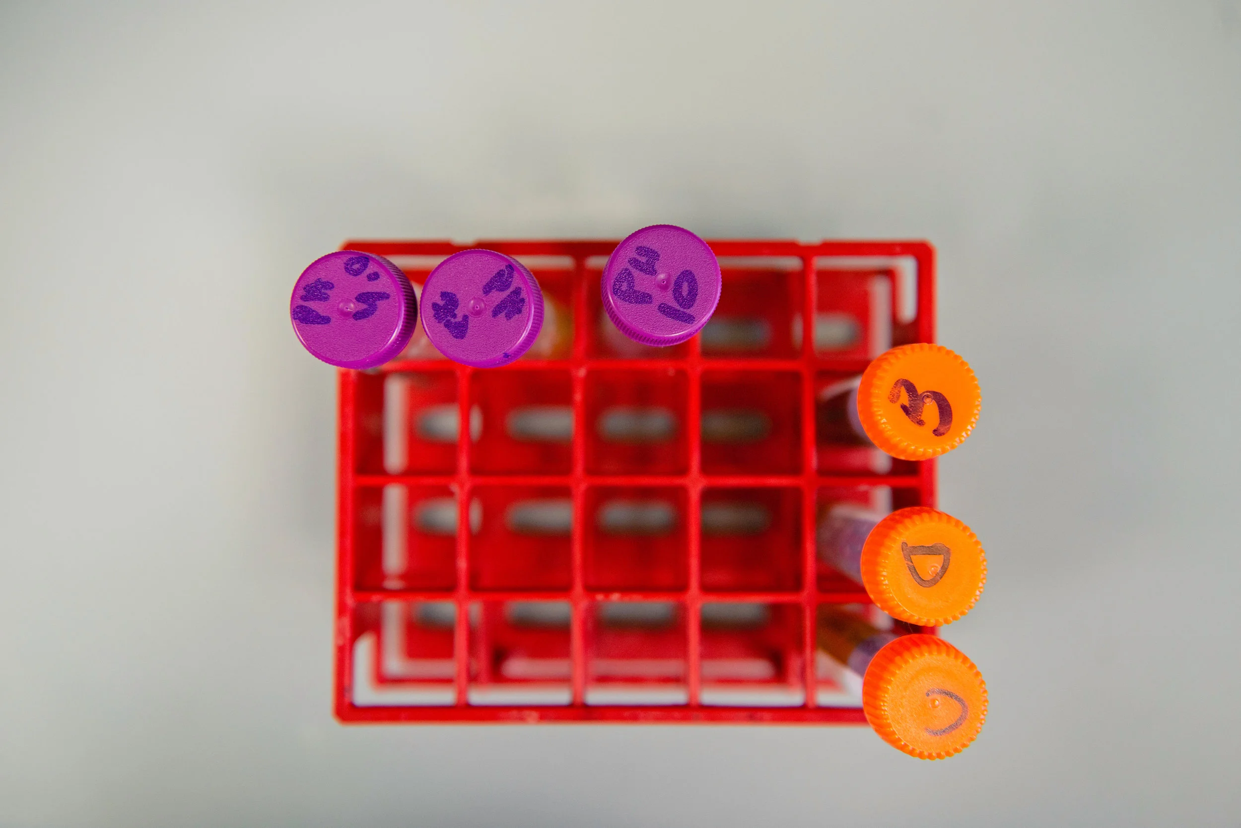 Cytovance Biologic 1167.jpg