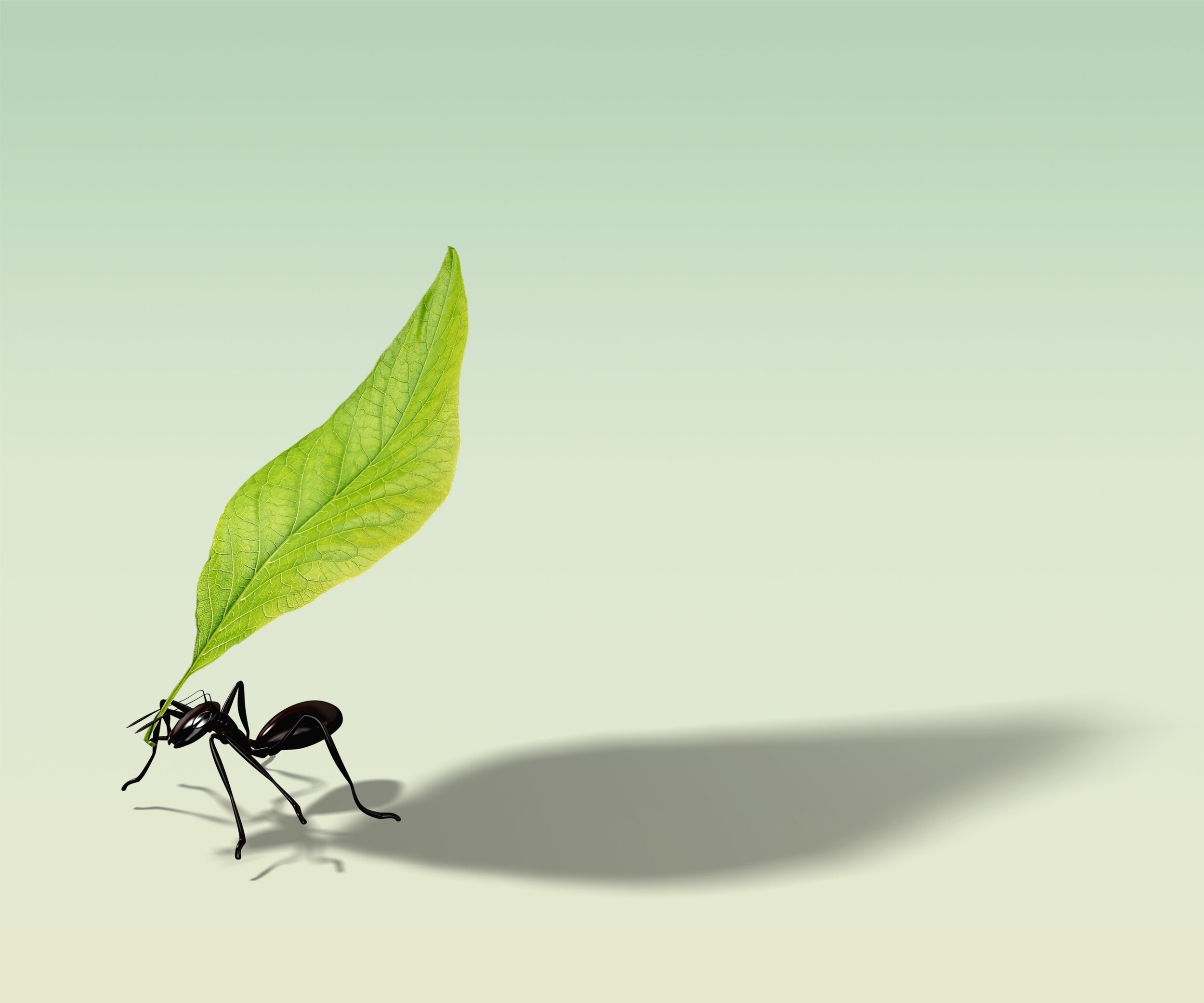 Шаблоны для презентаций powerpoint насекомые