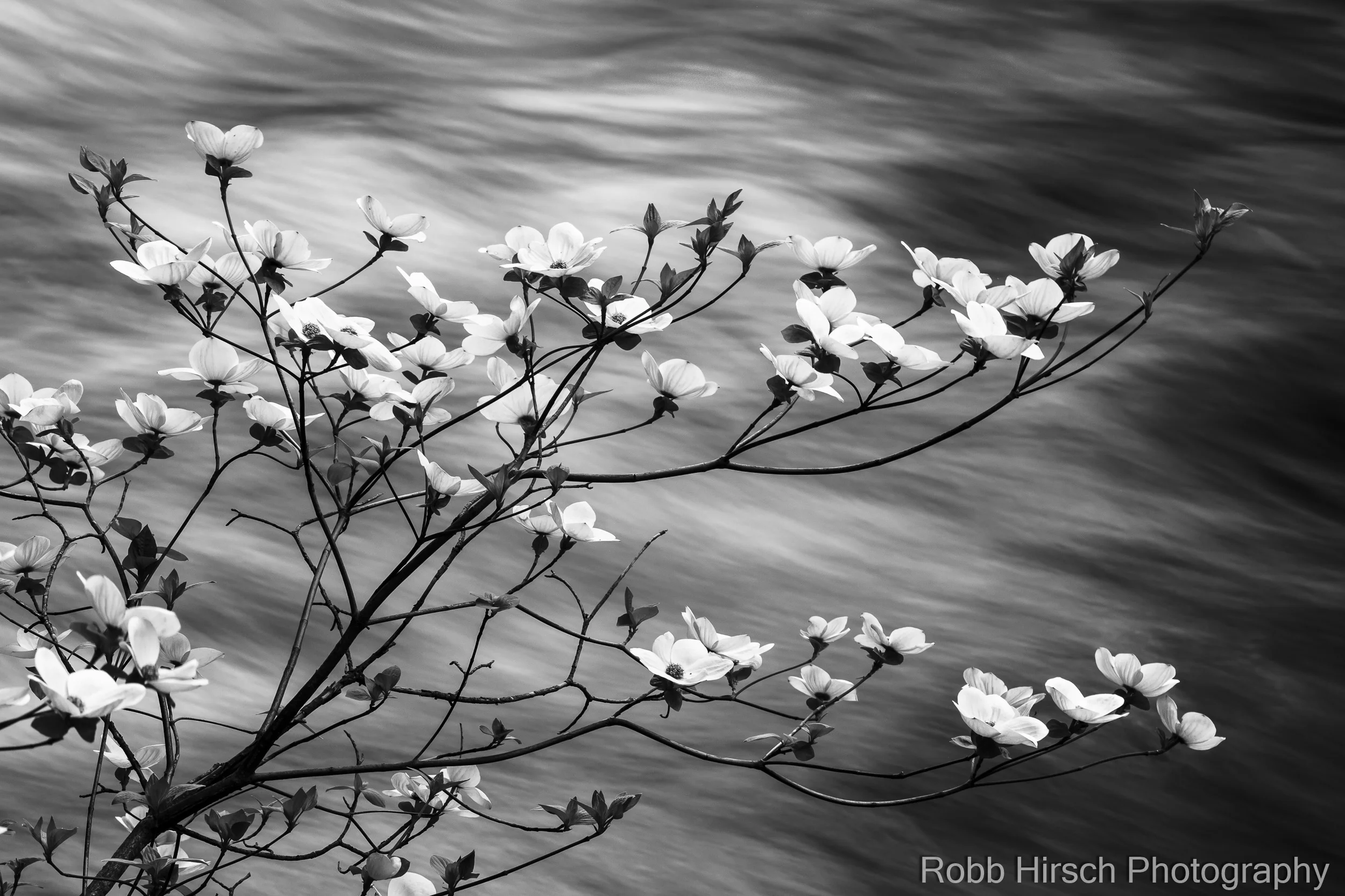 20130430-0078.jpg