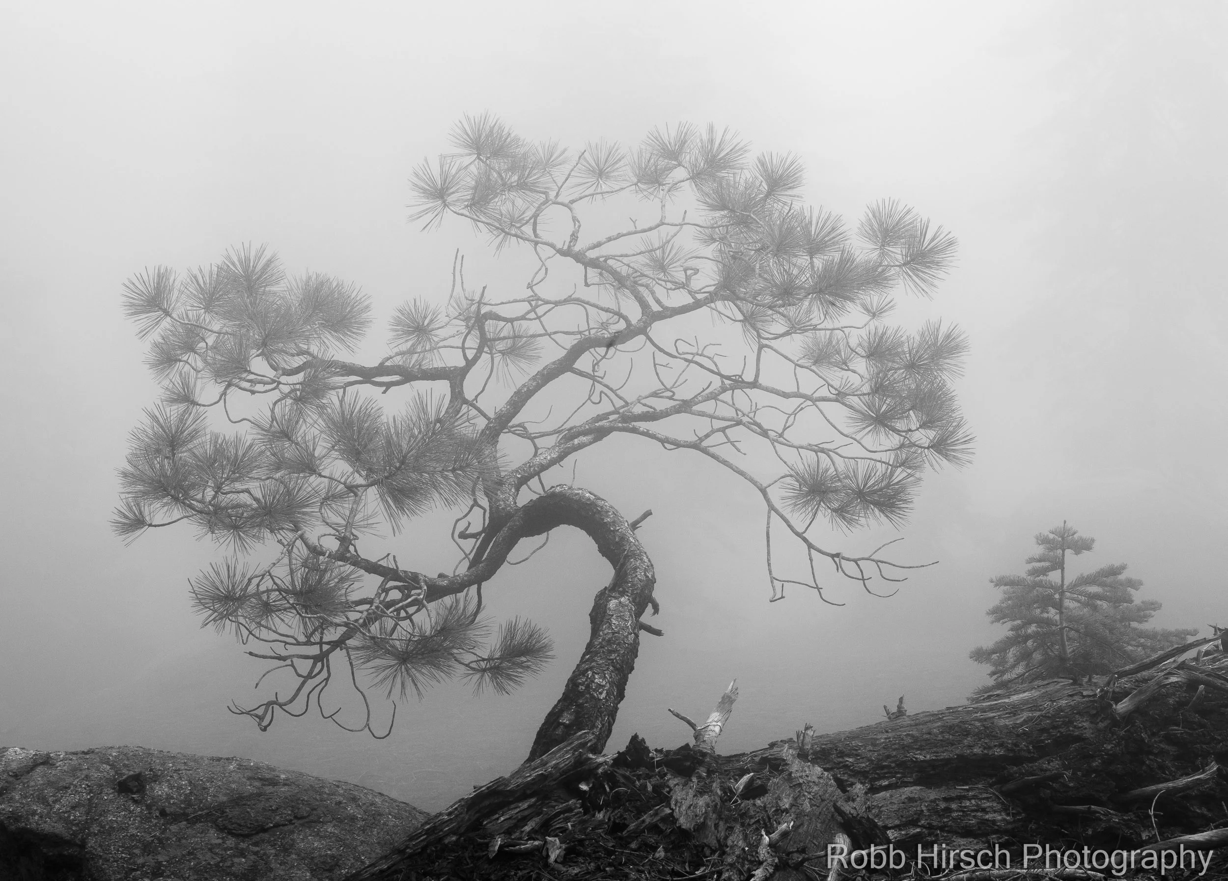 20150522-0035.jpg