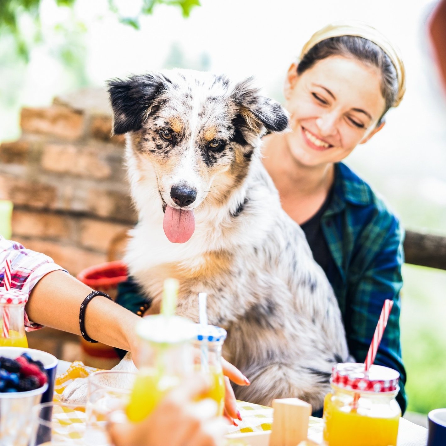 Brunch with Your Dog: The Perfect Treat