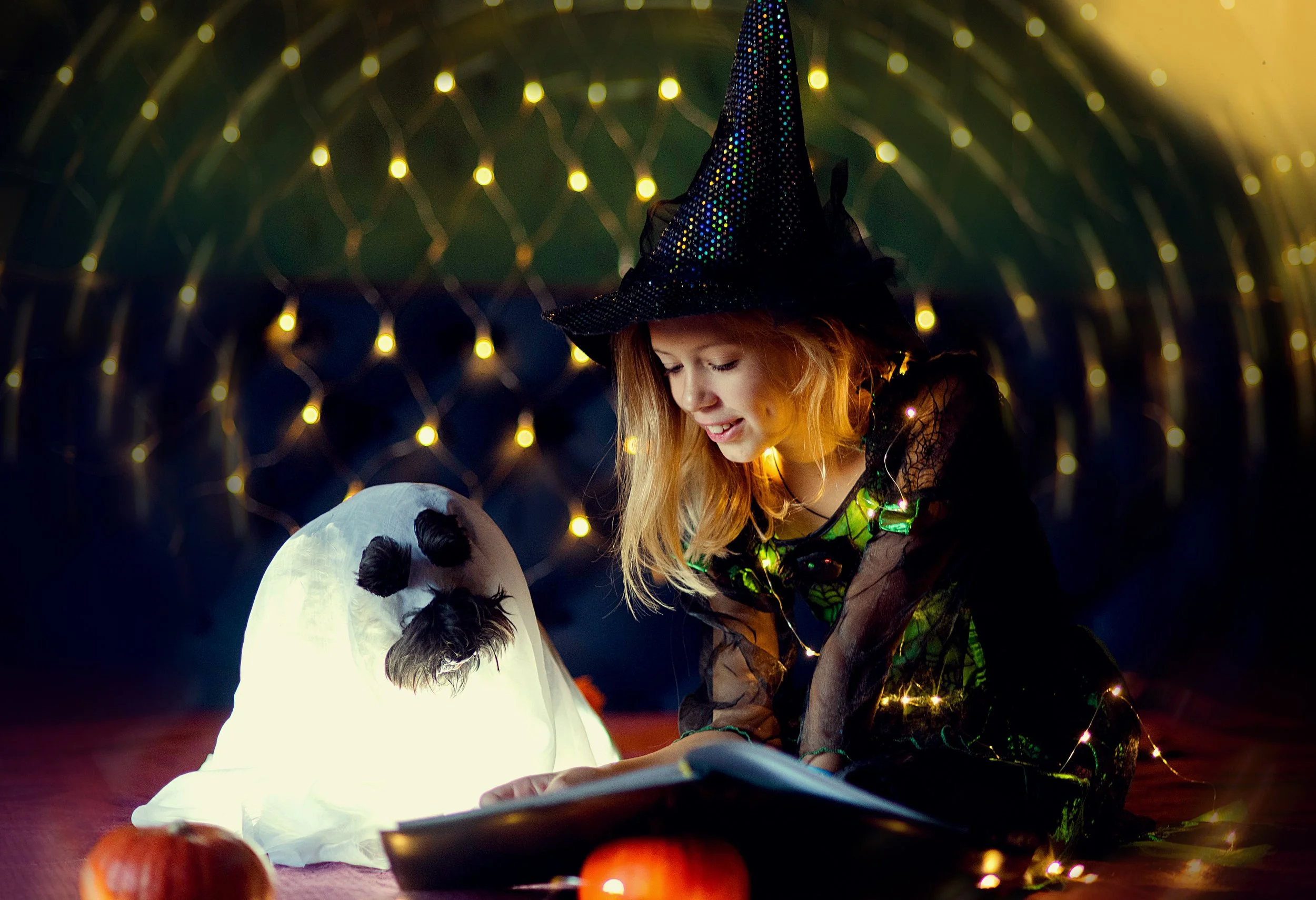 Halloween Fun with Your Dog
