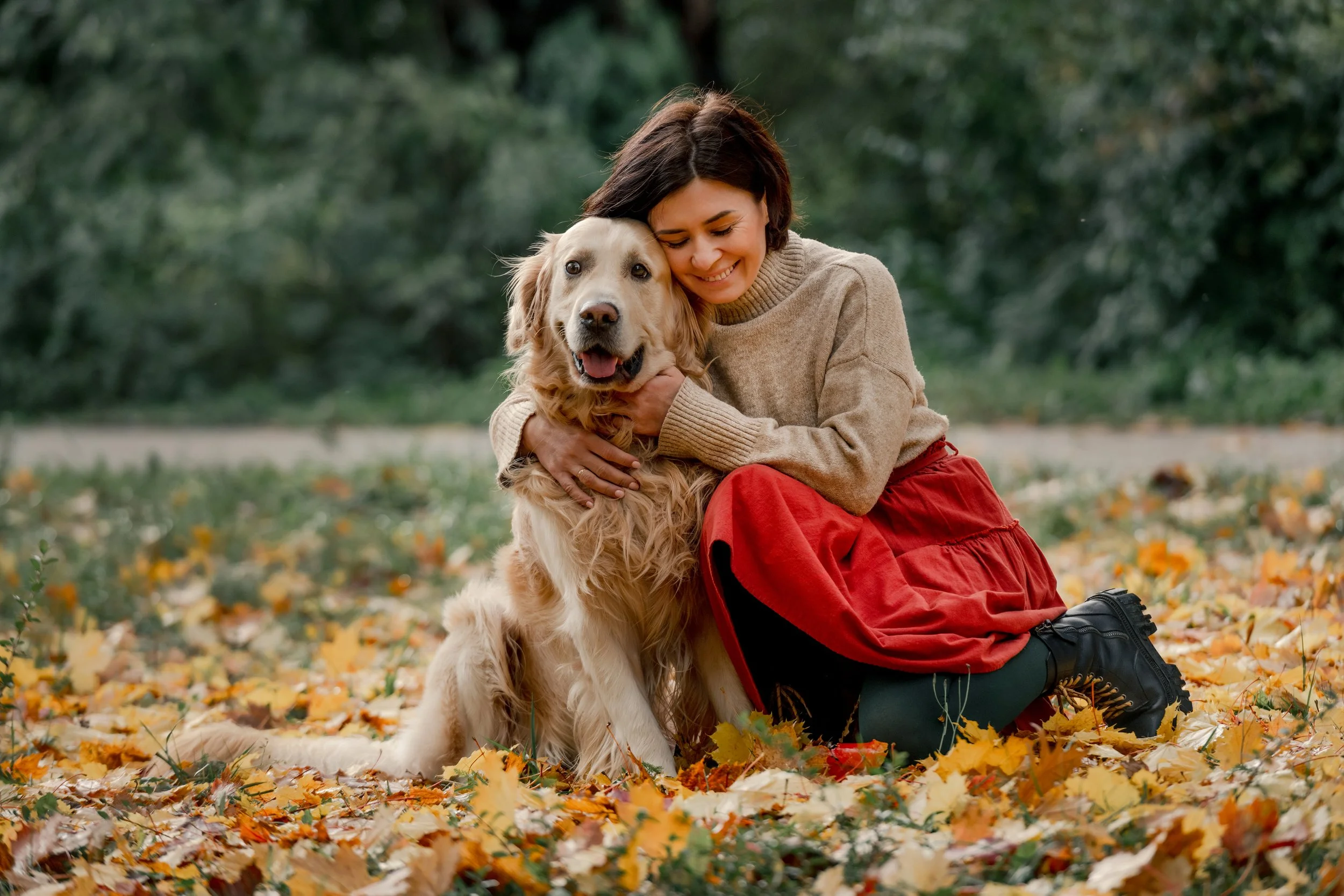 Ways to Show Your Dog You Are Thankful for Them This November