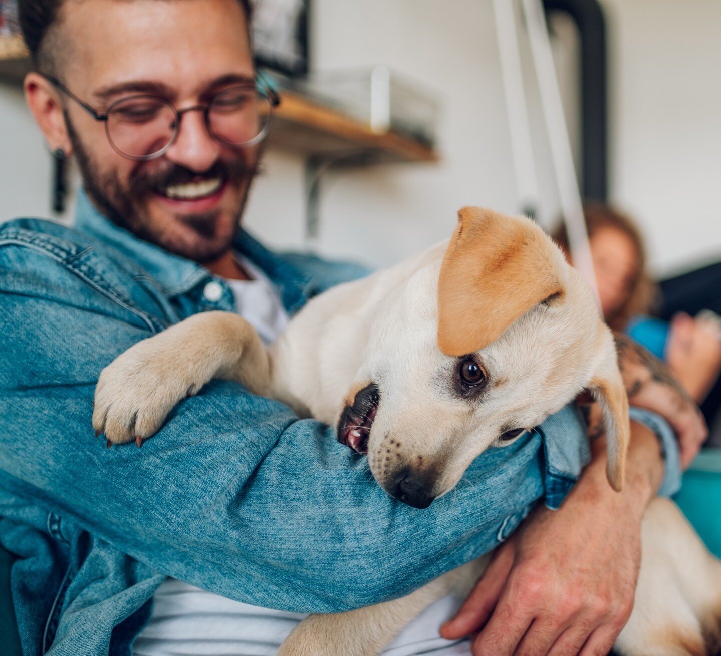 🐾 Happy National Love Your Pet Day! 🐾 Today, we're celebrating our furry best friends with all the love and cuddles they deserve. 🐶💕 From their wagging tails to their unconditional loyalty, dogs bring so much joy and happiness into our lives. Whe