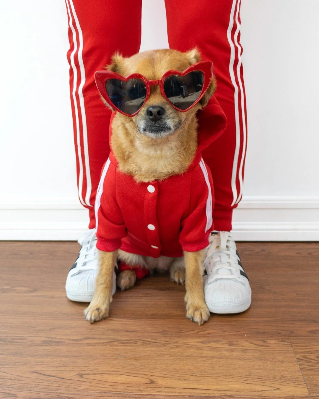 There&rsquo;s nothing quite like twinning with your pup, especially when it comes to fashion! Whether you&rsquo;re looking to make a statement at the park or want to coordinate your look for a fun photoshoot, matching outfits for you and your dog are