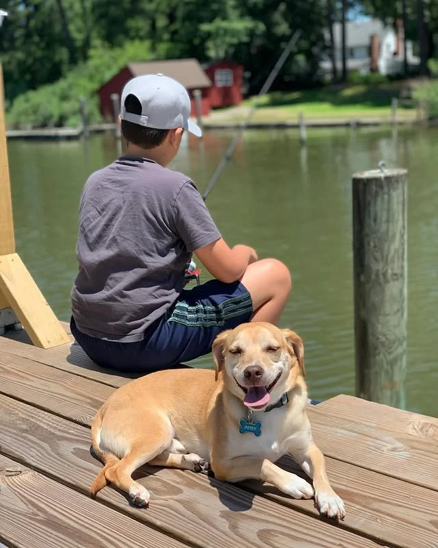 Gone fishin'. 🎣☀️ @petey.the.sato.dog is livin&rsquo; that dock life &mdash; sun on the fur, breeze in the ears, and zero worries in sight.

No bites yet, but the vibes? Immaculate. 😎🐾

#PupCornPlus #GoneFishing #DockDogDays #SnackBreakPending #Su