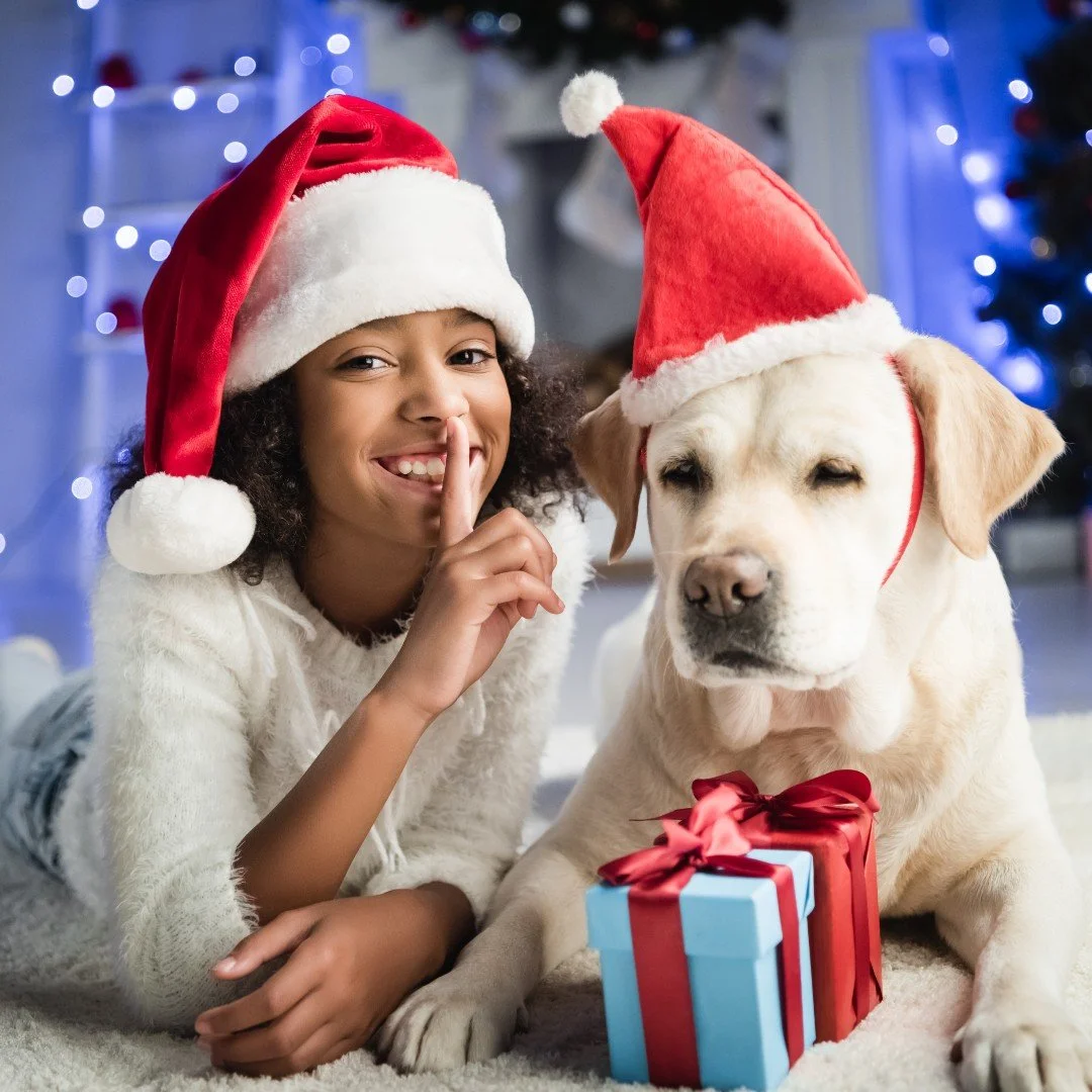The holiday season is the perfect time to spoil the dog mom in your life &ndash; and her four-legged bestie, too! From chic pet accessories to matching outfits and pampering treats, we&rsquo;ve rounded up the trendiest finds that will make any dog mo