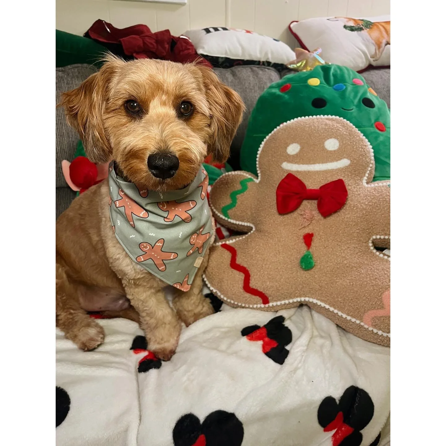 Gingerbark men? ✅ Cozy vibes? ✅  Pup-approved snacks? ✅ ✅ 🎄🐶🍿

@beakerthecorgipoo is bringing peak Pup Corn cheer to the holiday season&mdash;and we&rsquo;re totally here for it. ❄️🎁

Stuff those stockings with the snack that sleighs&mdash;our li