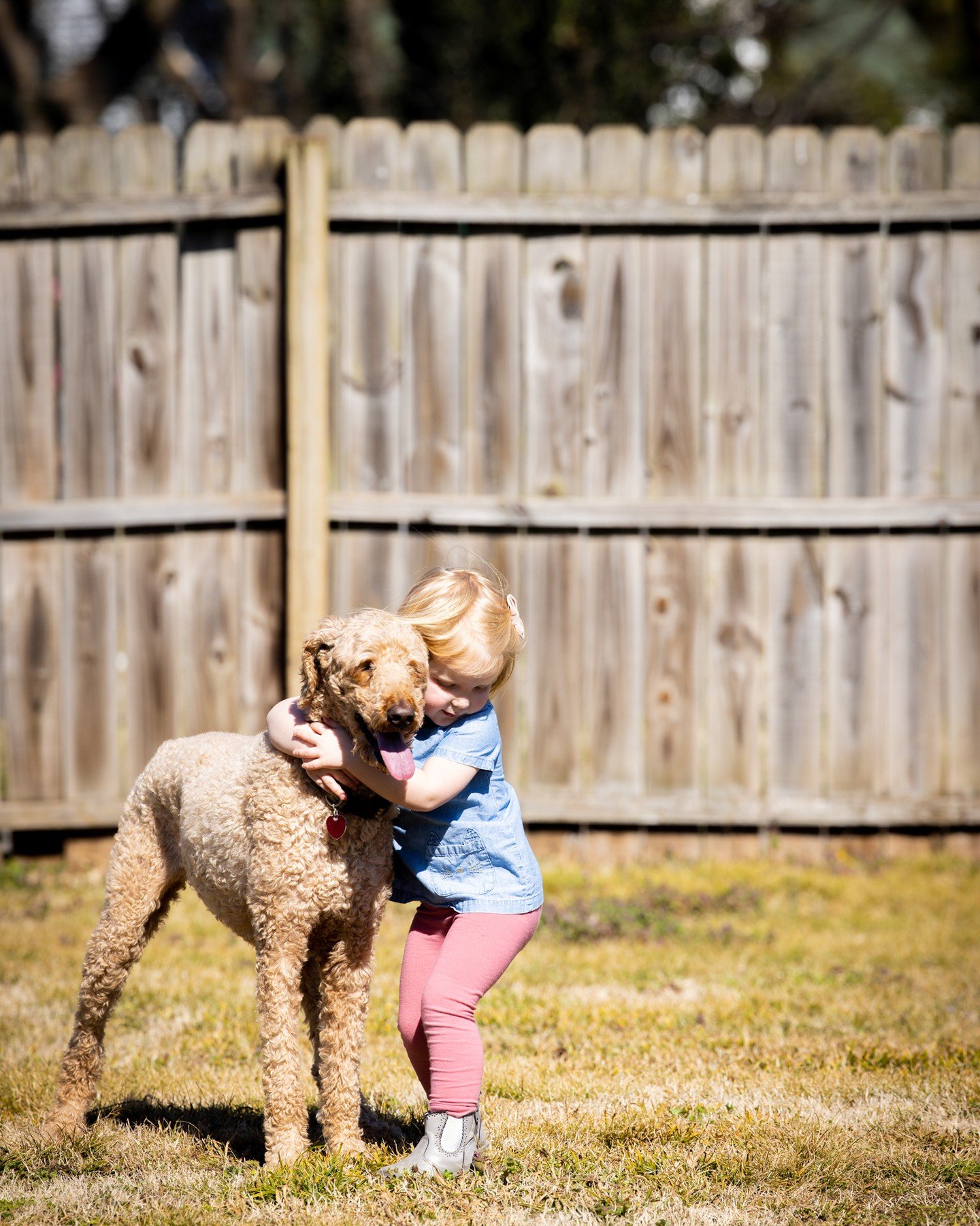 The treats your dog loves, and that you love to give ❤️🐶

#PupCornPlus #PupCorn #GiveYourDogATreat