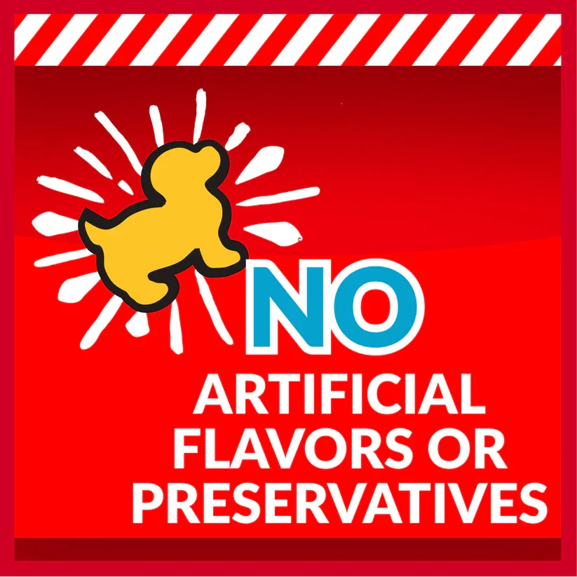 Pupcorn_ecommerce5_62f2df4b-daf7-442f-8b0b-874404339f1a.webp