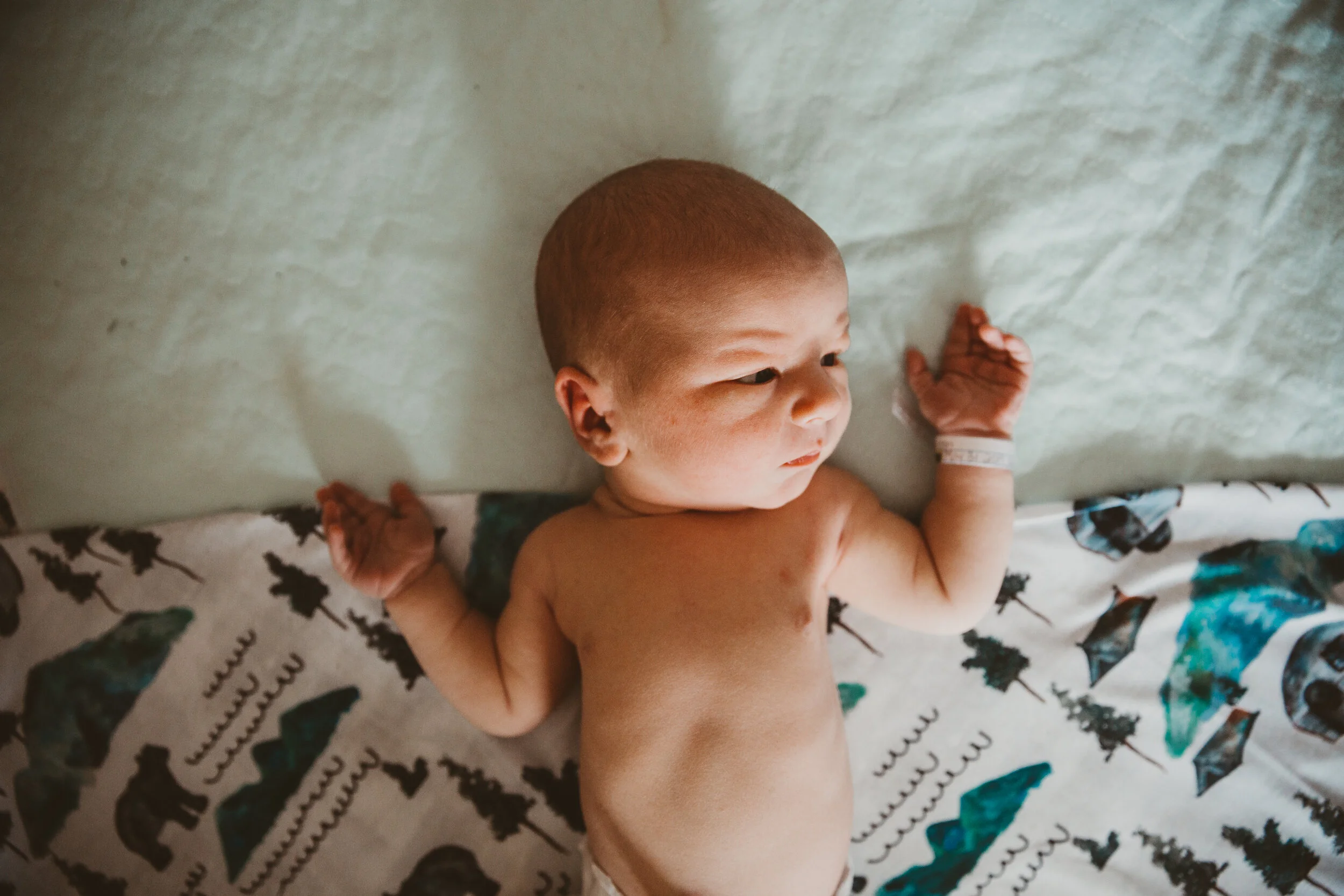 Newborn Baby Hospital Session