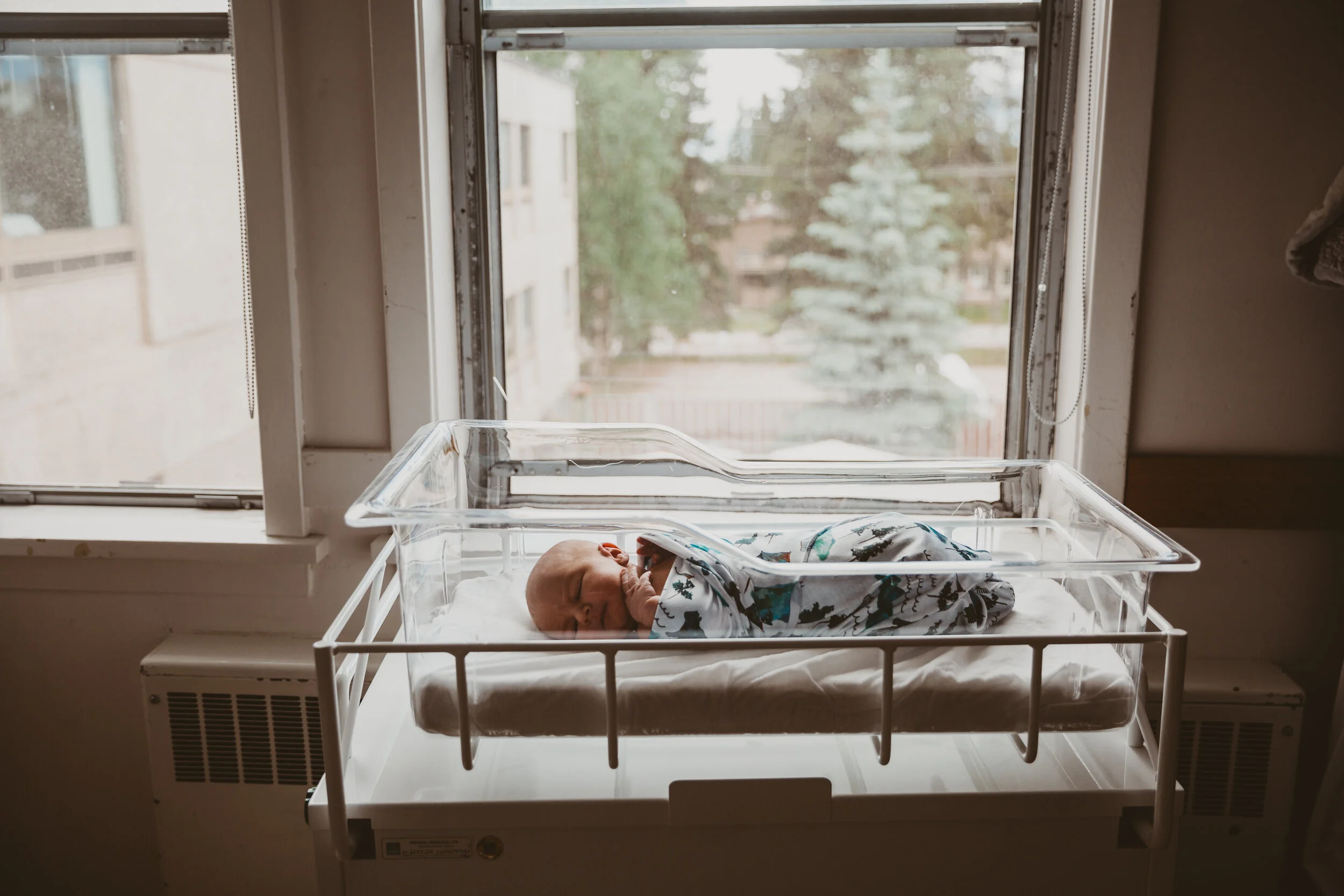 Newborn Baby Hospital Session