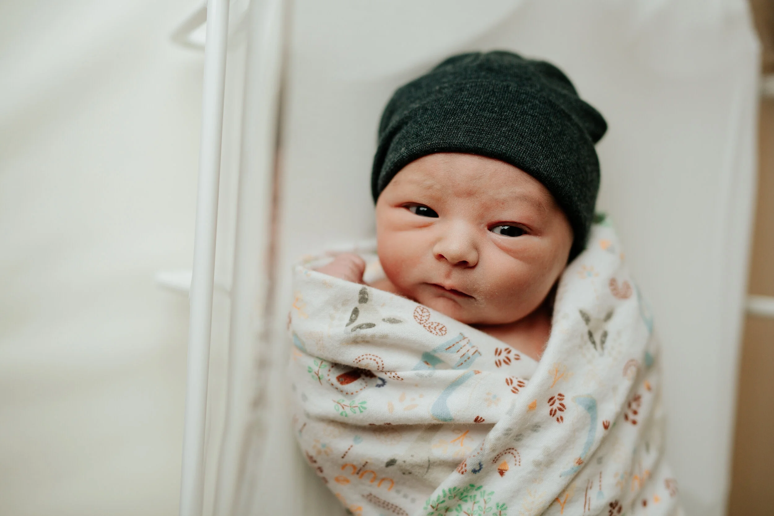 Wrapped newborn Image