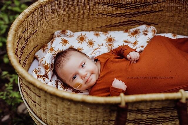 Oh Kylie, you are the sweetest girl. Those big eyes will get you out of trouble from time to time Im sure!

I am loving these indoor outdoor baby sessions! Such a fun way to capture Family and Baby! 
Swaddle: Peaks and Valleys Baby #smithersbc #smith