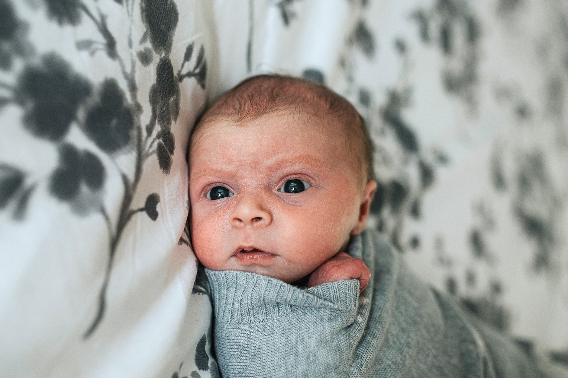 Newborn baby portrait, swaddled and lying on the master bed