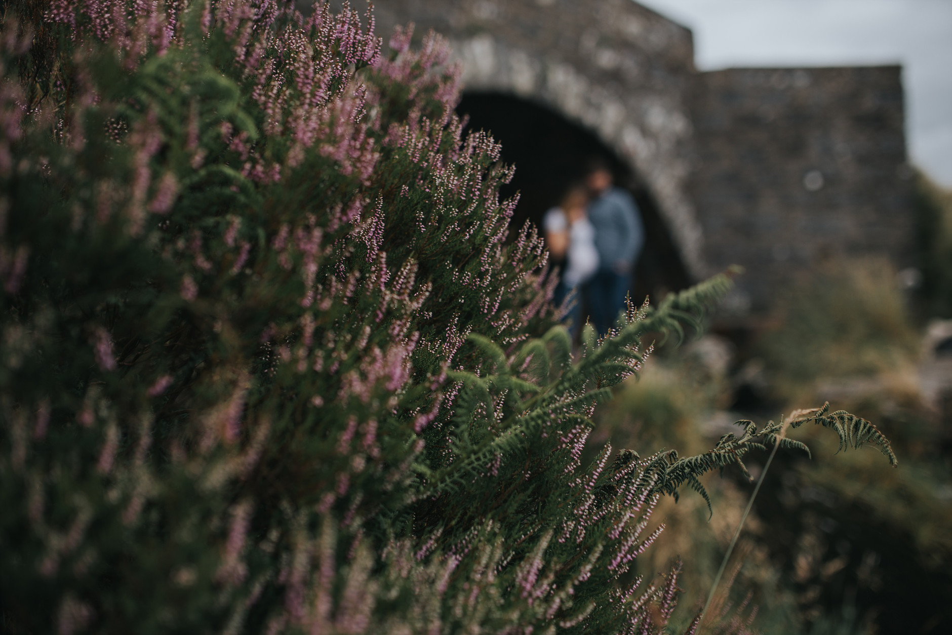 Irish wild flowers in front of pregnant couple in the background