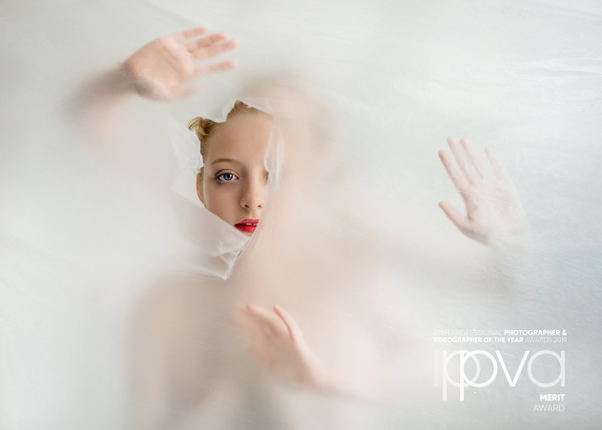 IPPVA Fine Art Photography Merit Award