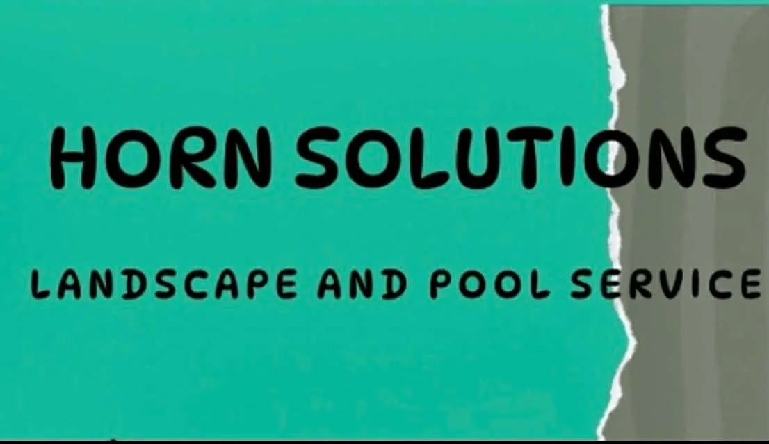 Horn Solutions Color Logo copy.jpg