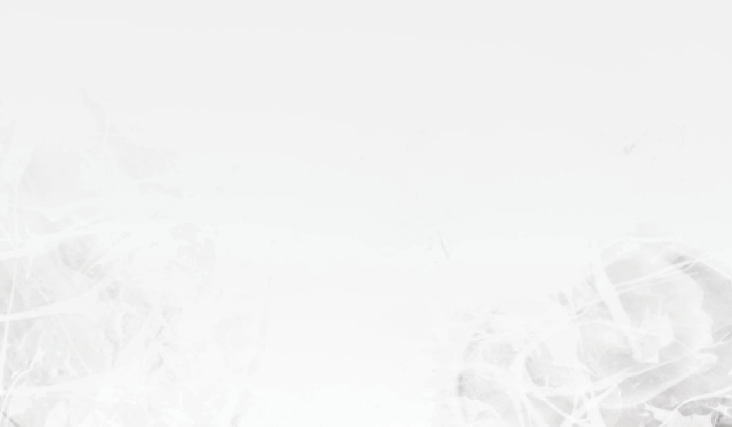 Texture Banner2.jpg