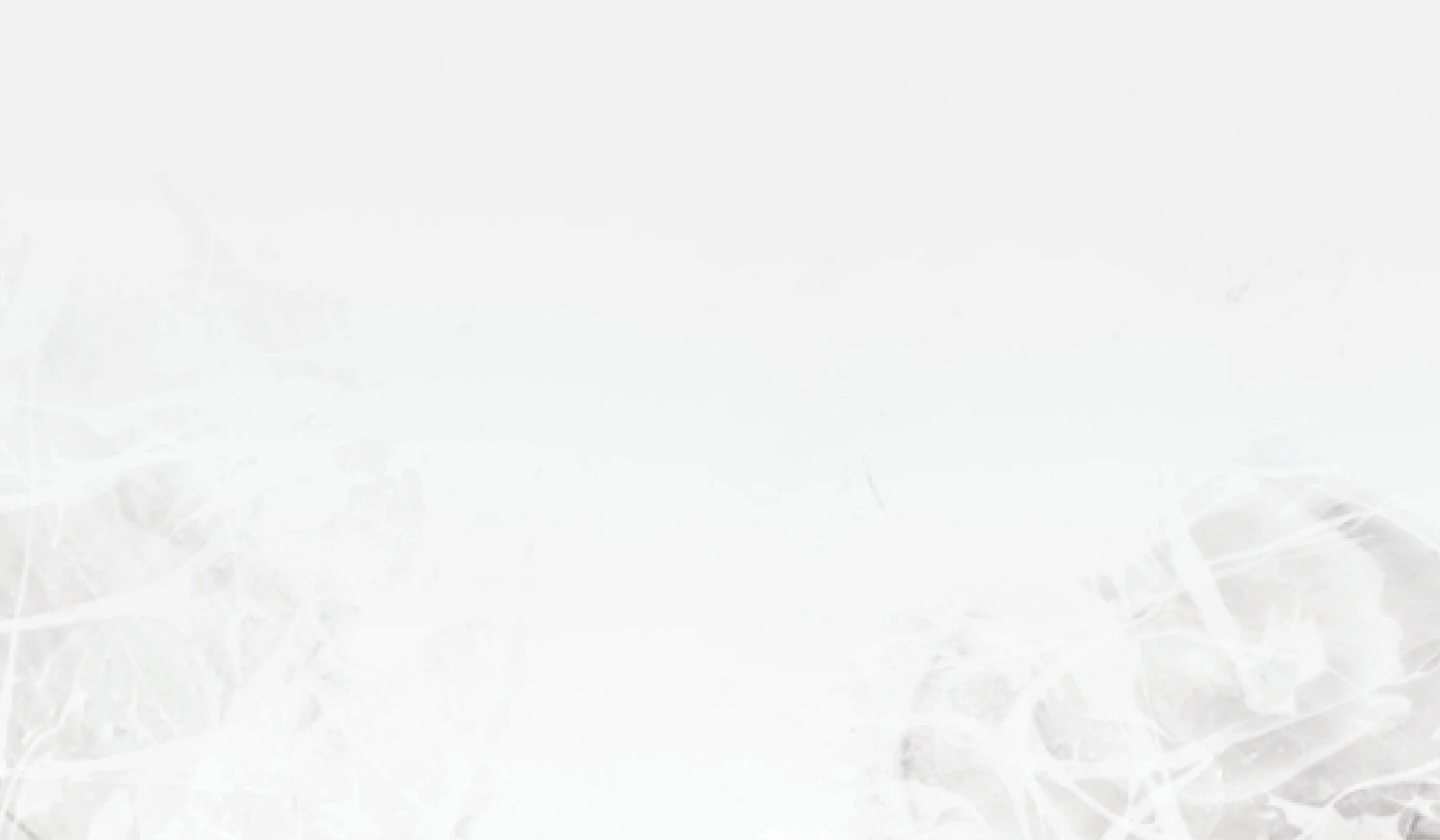 Texture Banner2.jpg