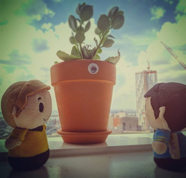 Kirk: What do you make of it, Mr. Spock?
Spock: It is unlike any creature I've ever encountered before. 
Plantatia: Warble! Warble!
.
Follow the continuing adventures!
.
.
.
.
.
.
.
#IttyBittyAwayTeam #IttyBittys #MrSpock #Spock #LeonardNimoy #Nimoy 