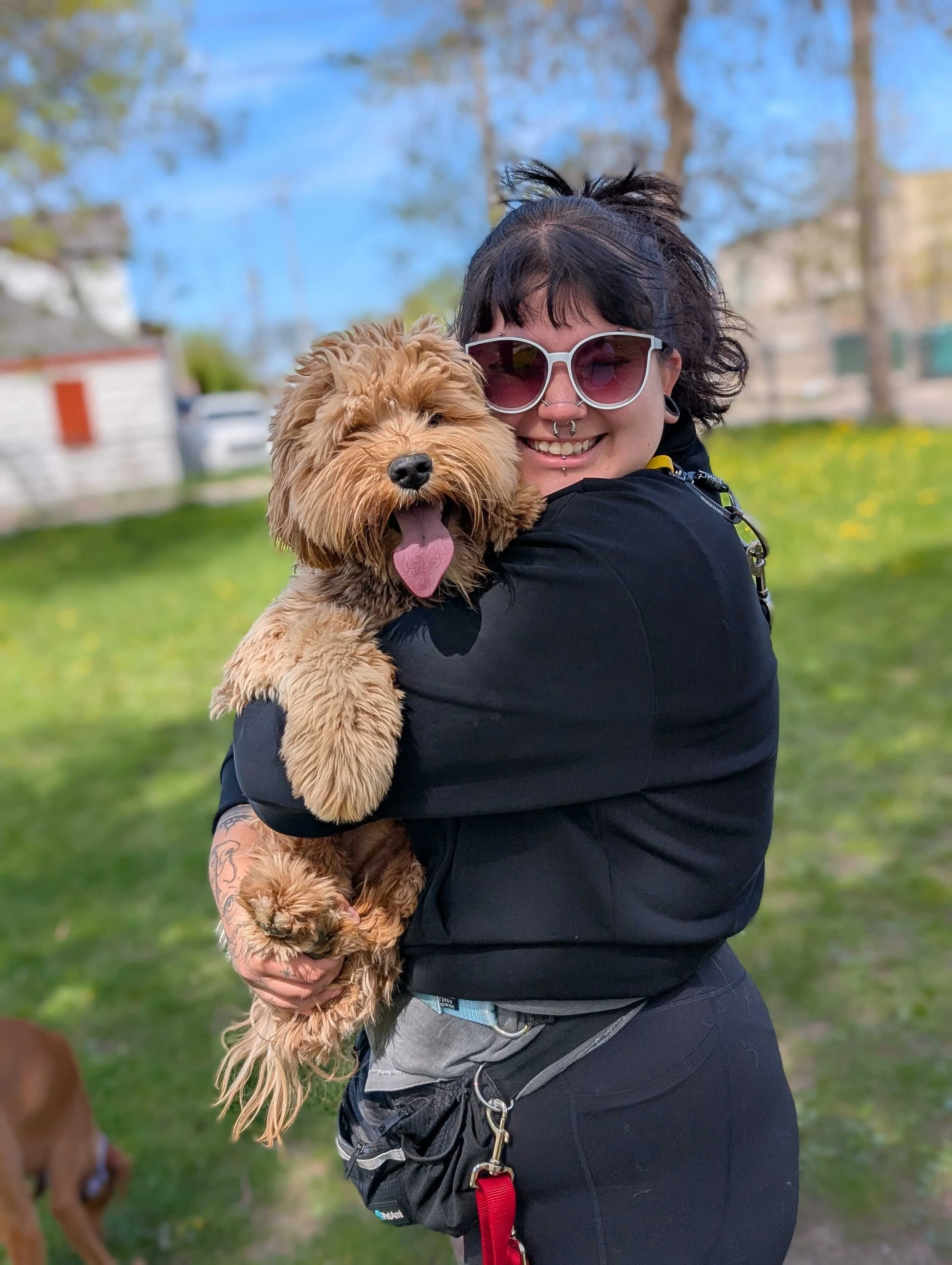 An Off Leash team member happily holding a dog