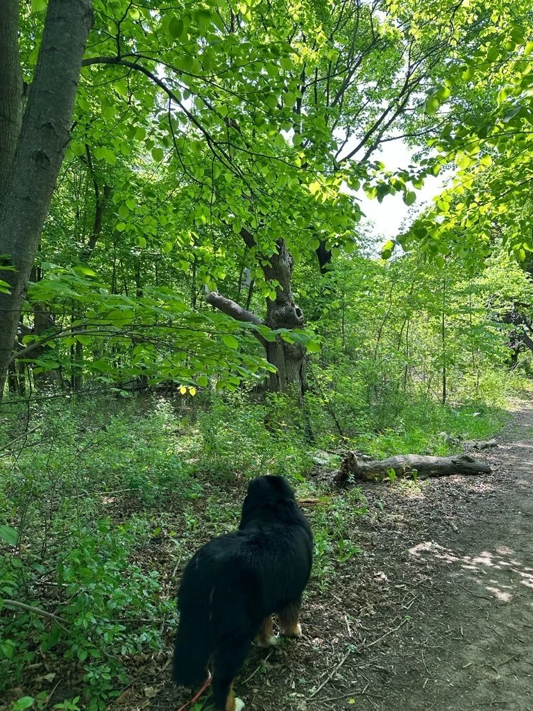 Havenwoods State Park