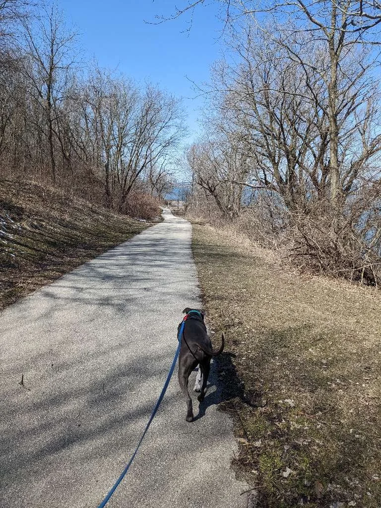 South Shore Park Trails